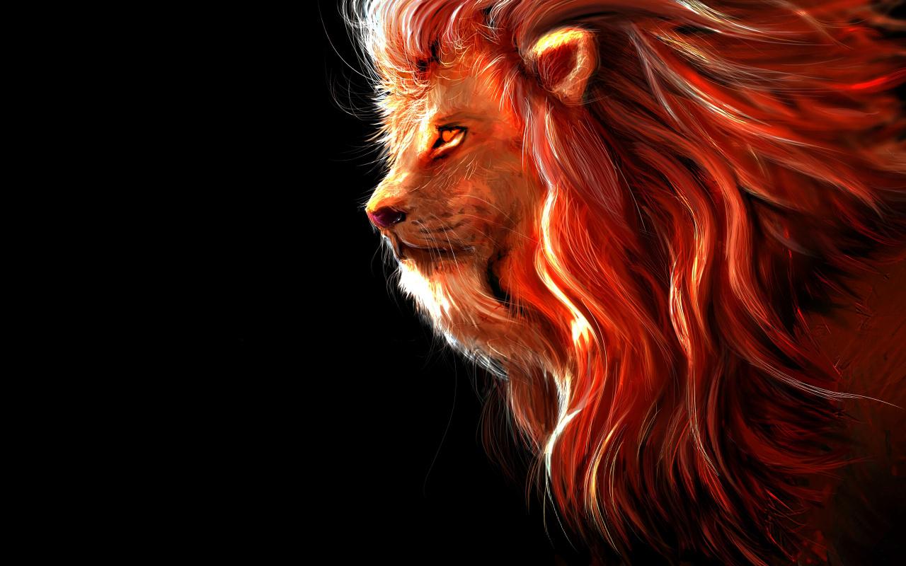 Lion Wallpaper HD  for Android  Download  Cafe Bazaar