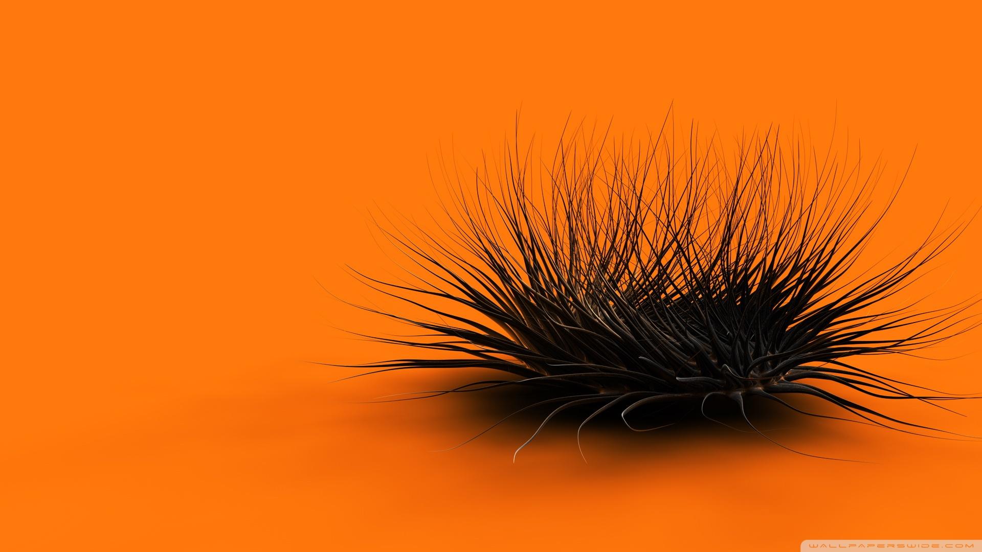 1920x1080 Orange Wallpaper HD 4k