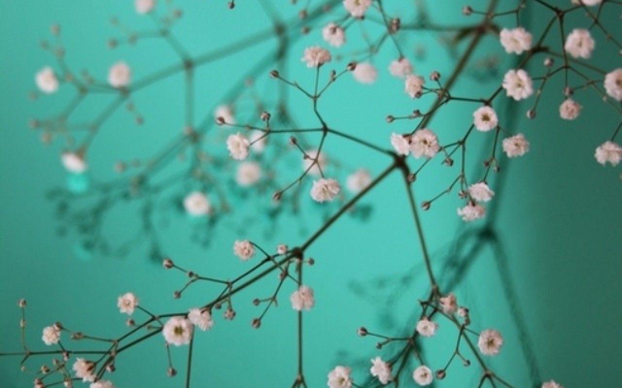 1280x800 Pretty Wallpaper For Computers