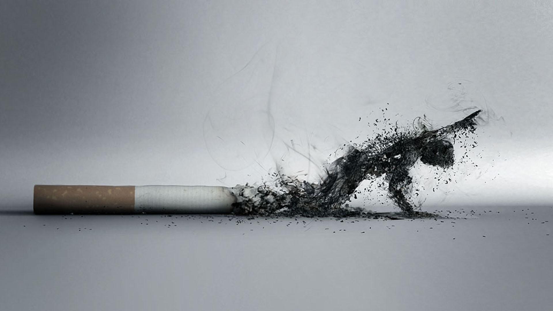 1920x1080 #simple background, #artwork, #dieing, #smoke, #cigarettes, #digital art, #burning, wallpaper. Mocah HD Wallpaper
