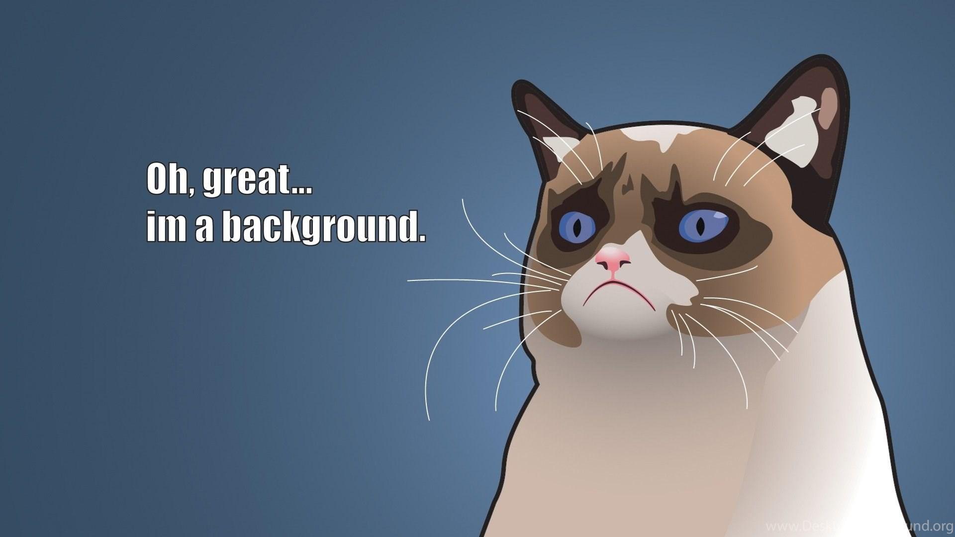 1920x1080 Grumpy Cat Cartoon Background HD Wallpaper Of Animals 1812. Desktop Background