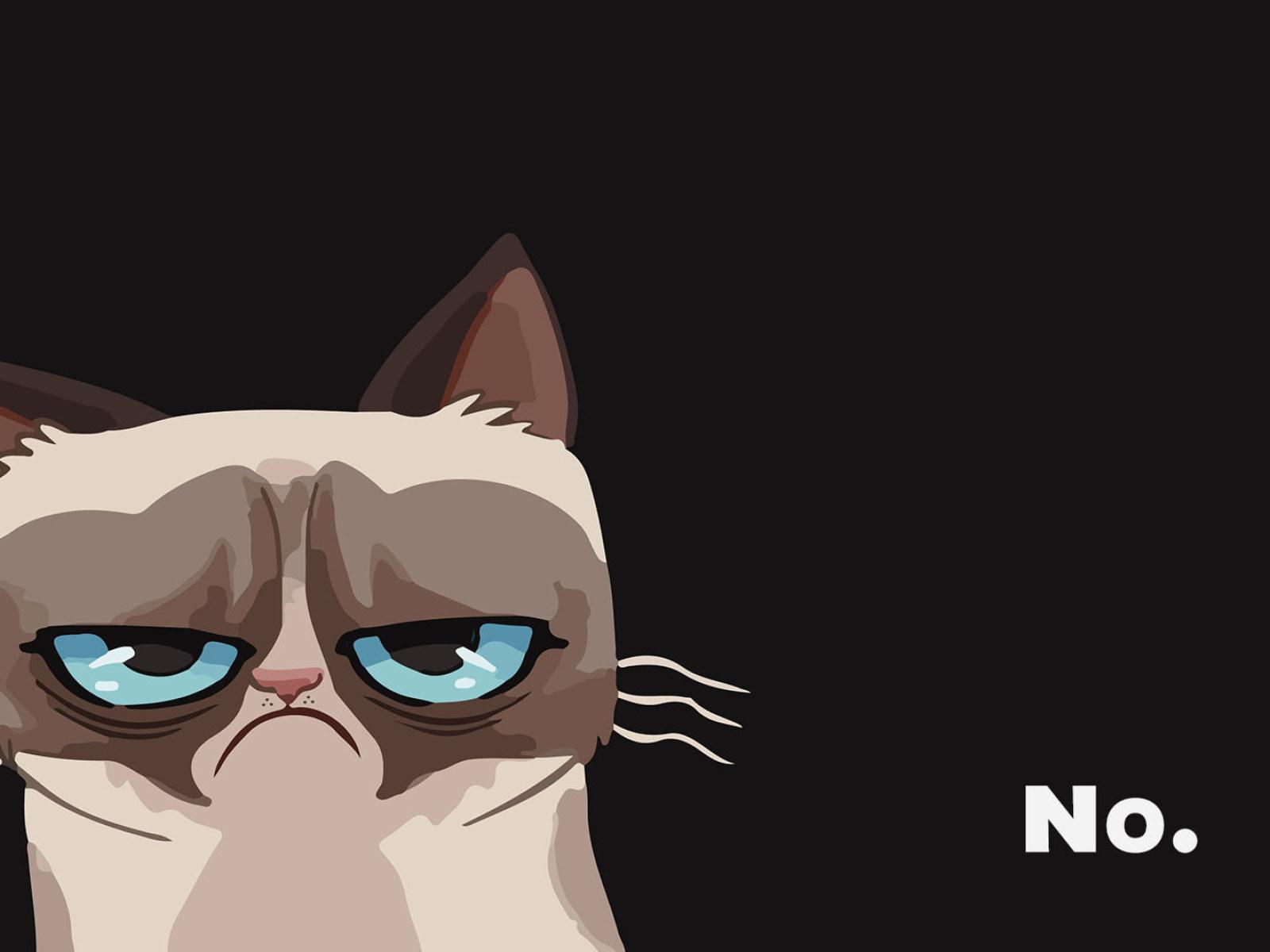 1600x1200 Wallpaper White And Brown Cat Vector Art, Grumpy Cat • Wallpaper For You HD Wallpaper For Desktop & Mobile
