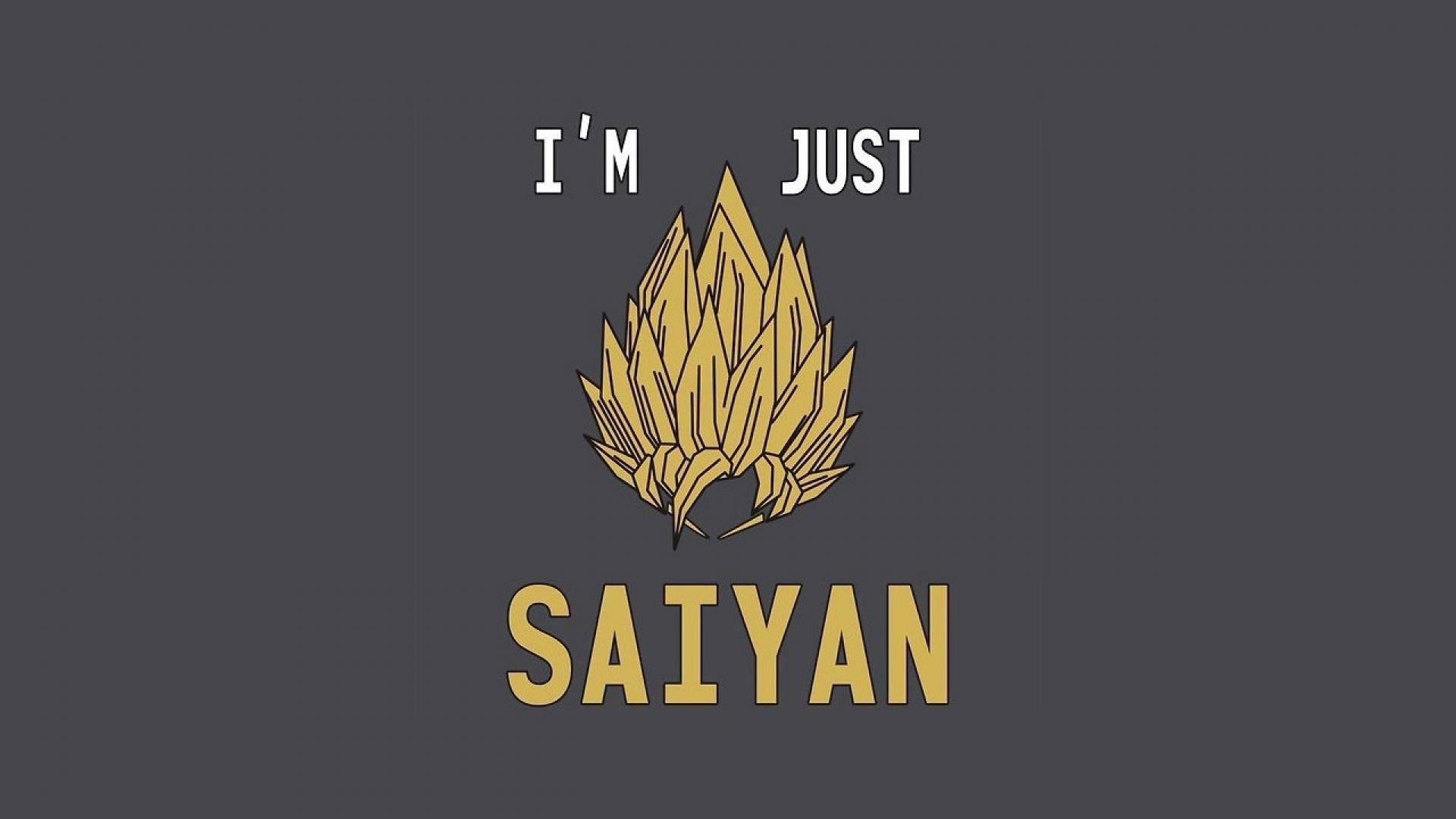 1920x1080 Saiyans dragon ball z pun wallpaper