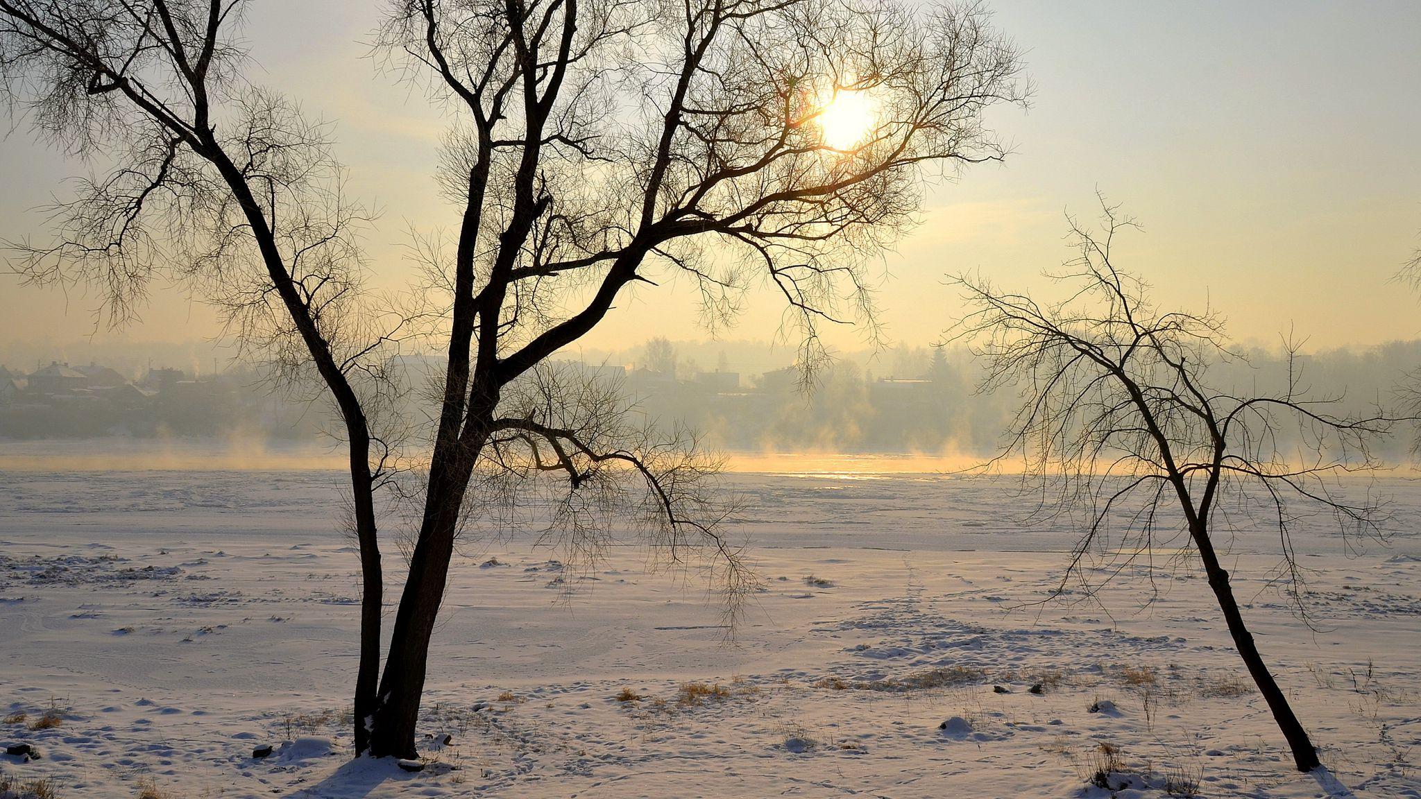 2048x1152 Download wallpaper 2048x1152 lithuania, kaunas, trees, snow, haze, glade, light ultrawide monitor HD background