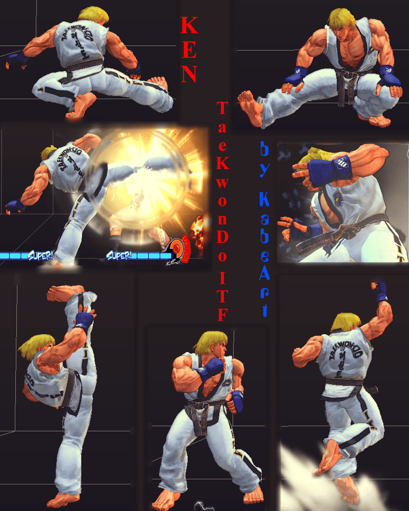 800x1000 Anime Taekwondo Wallpaper