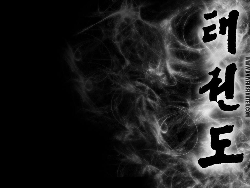 1024x768 Taekwondo desktop wallpaper Gallery