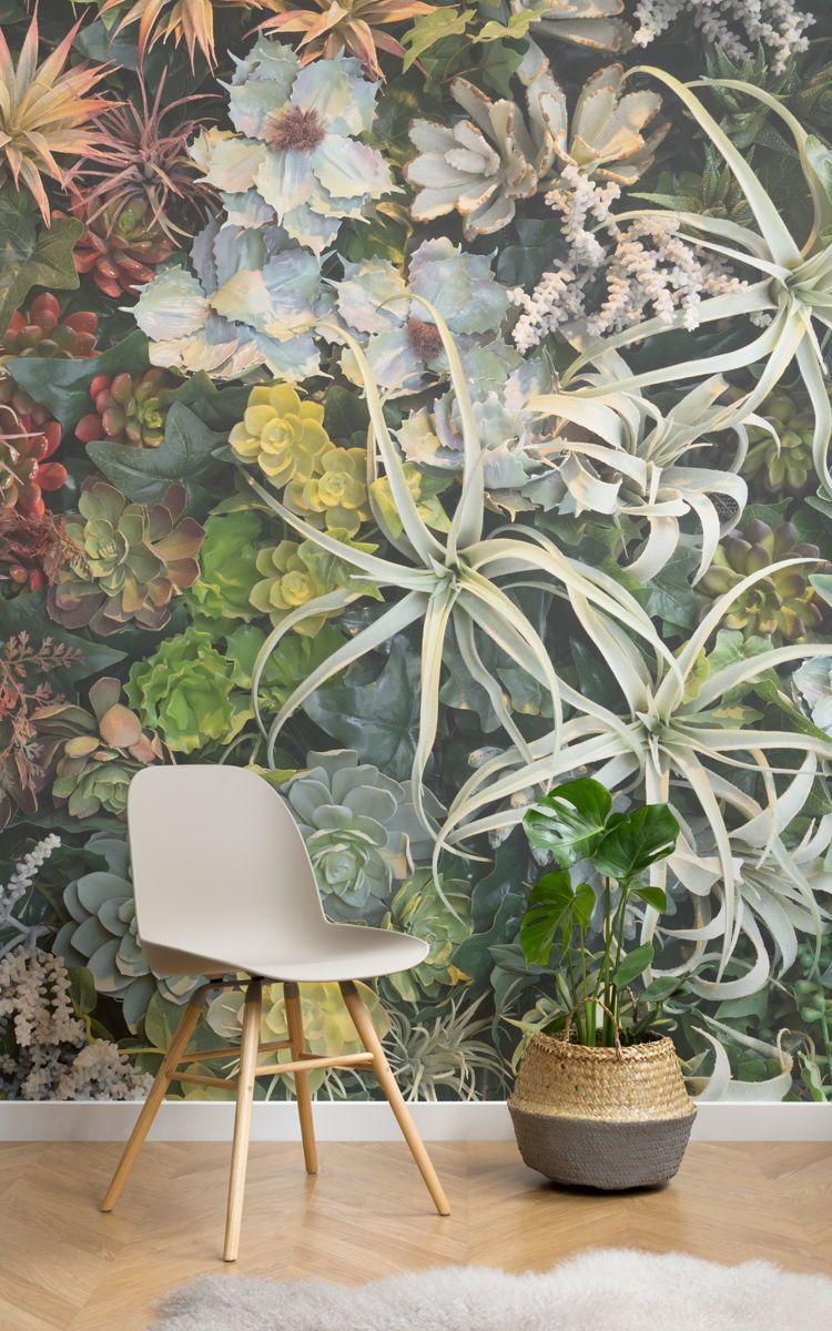 Aesthetic Grid Plants Wallpapers - Top Free Aesthetic Grid Plants Backgrounds - WallpaperAccess