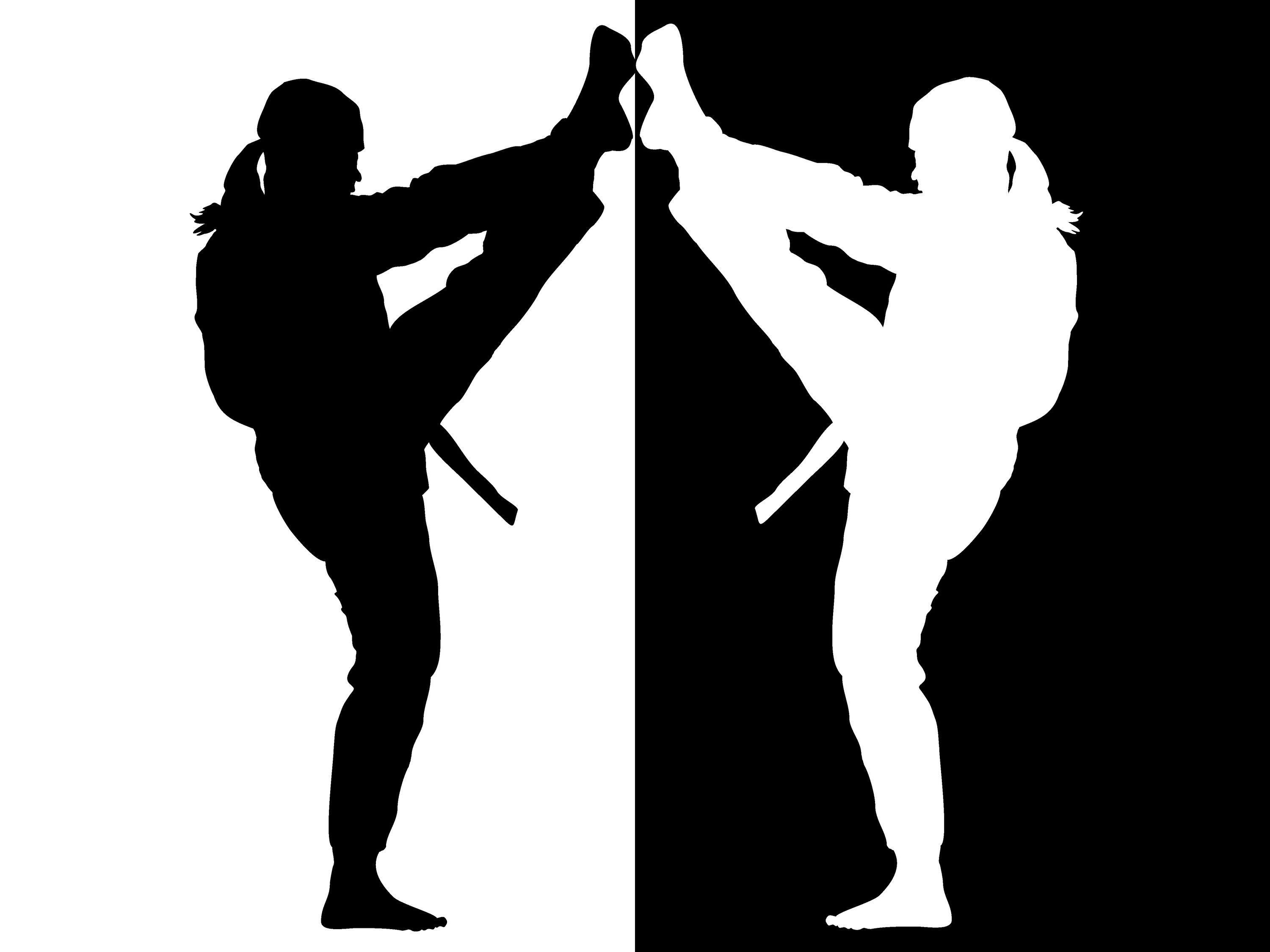 3000x2250 Free Taekwondo, Download Free Clip Art, Free Clip Art on Clipart Library