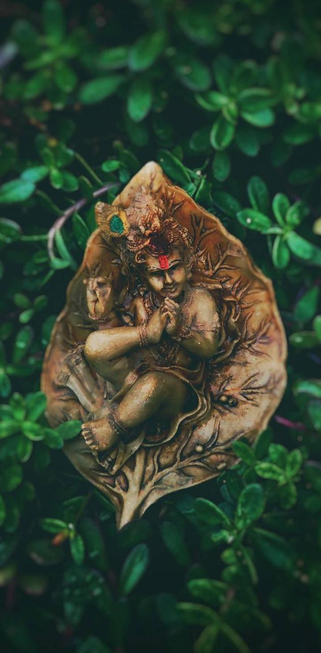 630x1280 Krishna wallpaper wallpaper