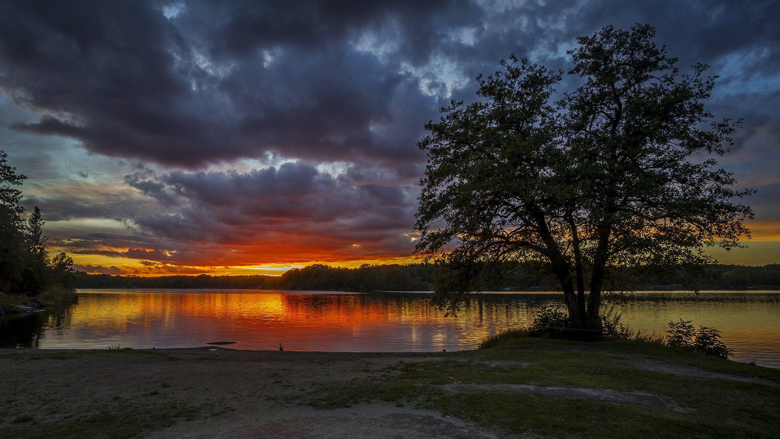2560x1440 Sweden Wallpaper, HD Sweden Background