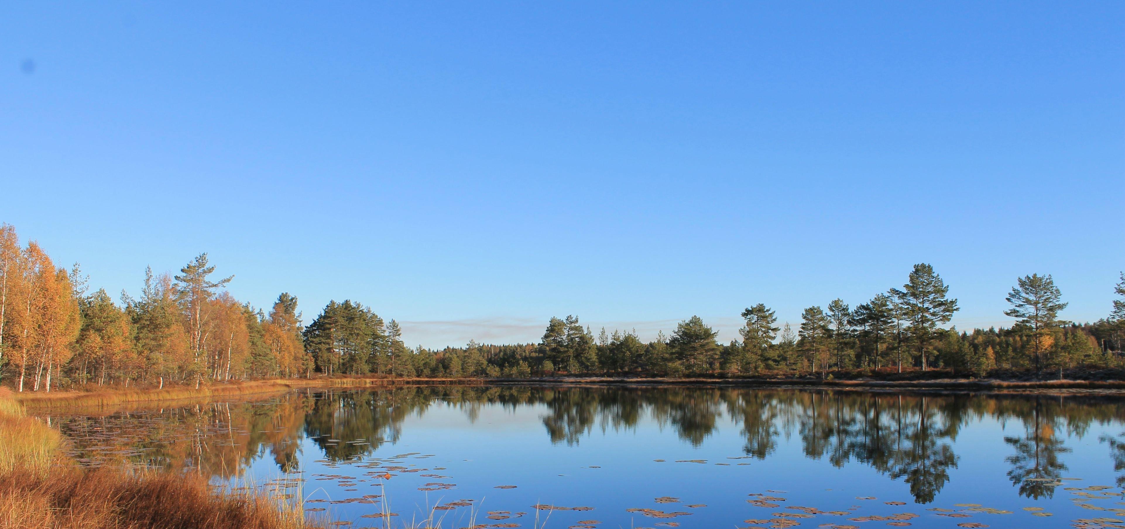 3844x1810 of Sweden 4K wallpaper for your desktop or mobile screen