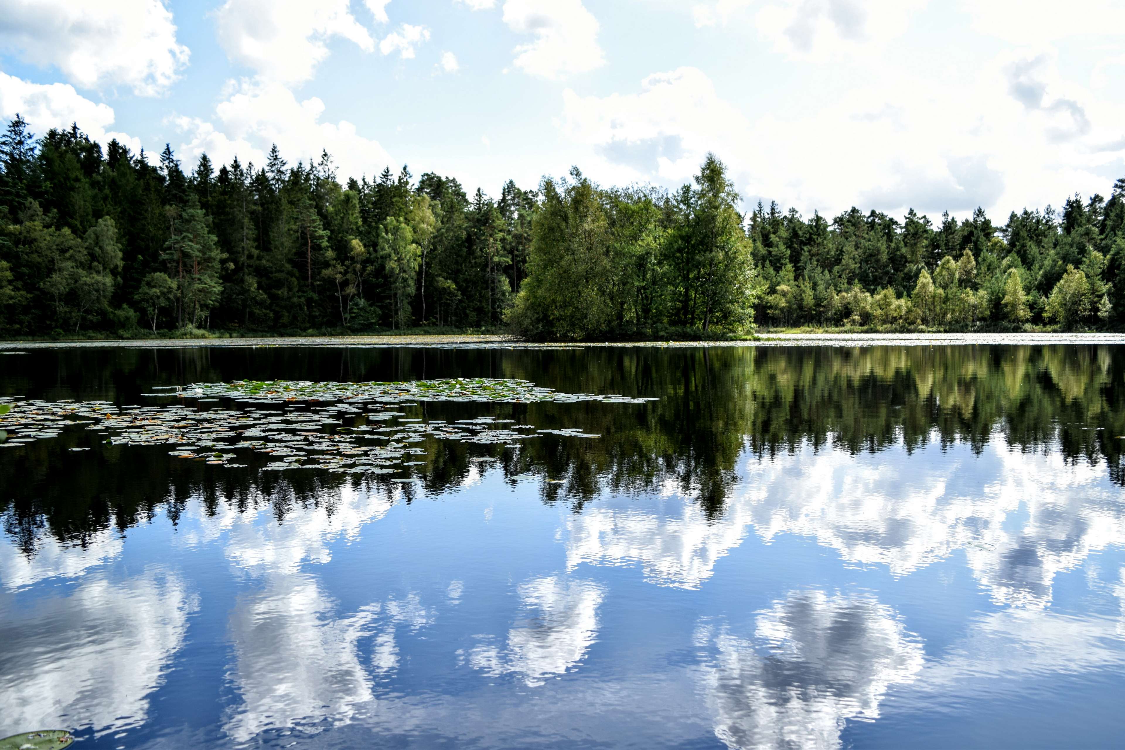 3840x2560 lake, lillies, skane fagerhult, summer, sweden 4k wallpaper