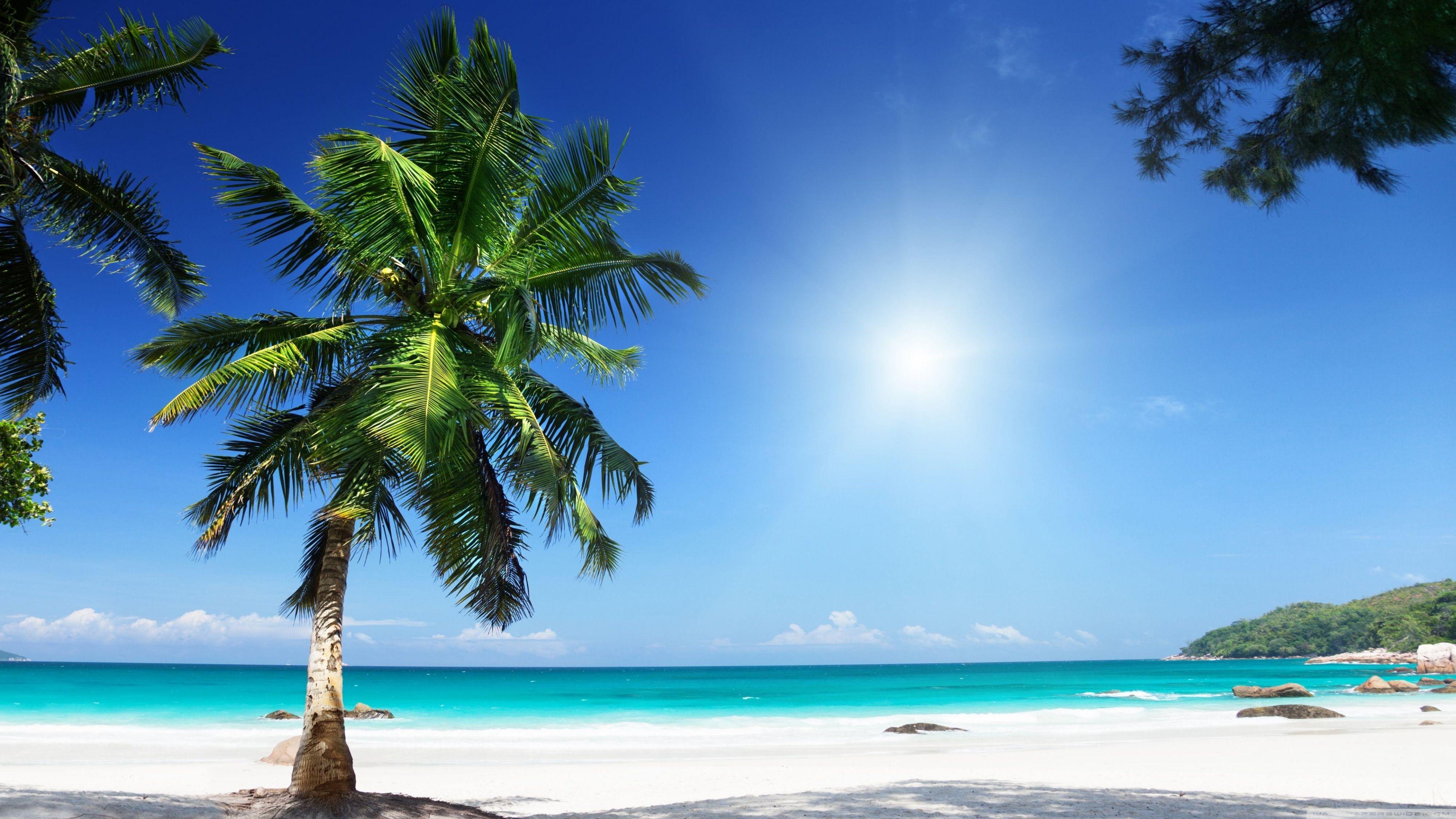 3840x2160 Sunny Beach ❤ 4K HD Desktop Wallpaper for 4K Ultra HD TV • Tablet
