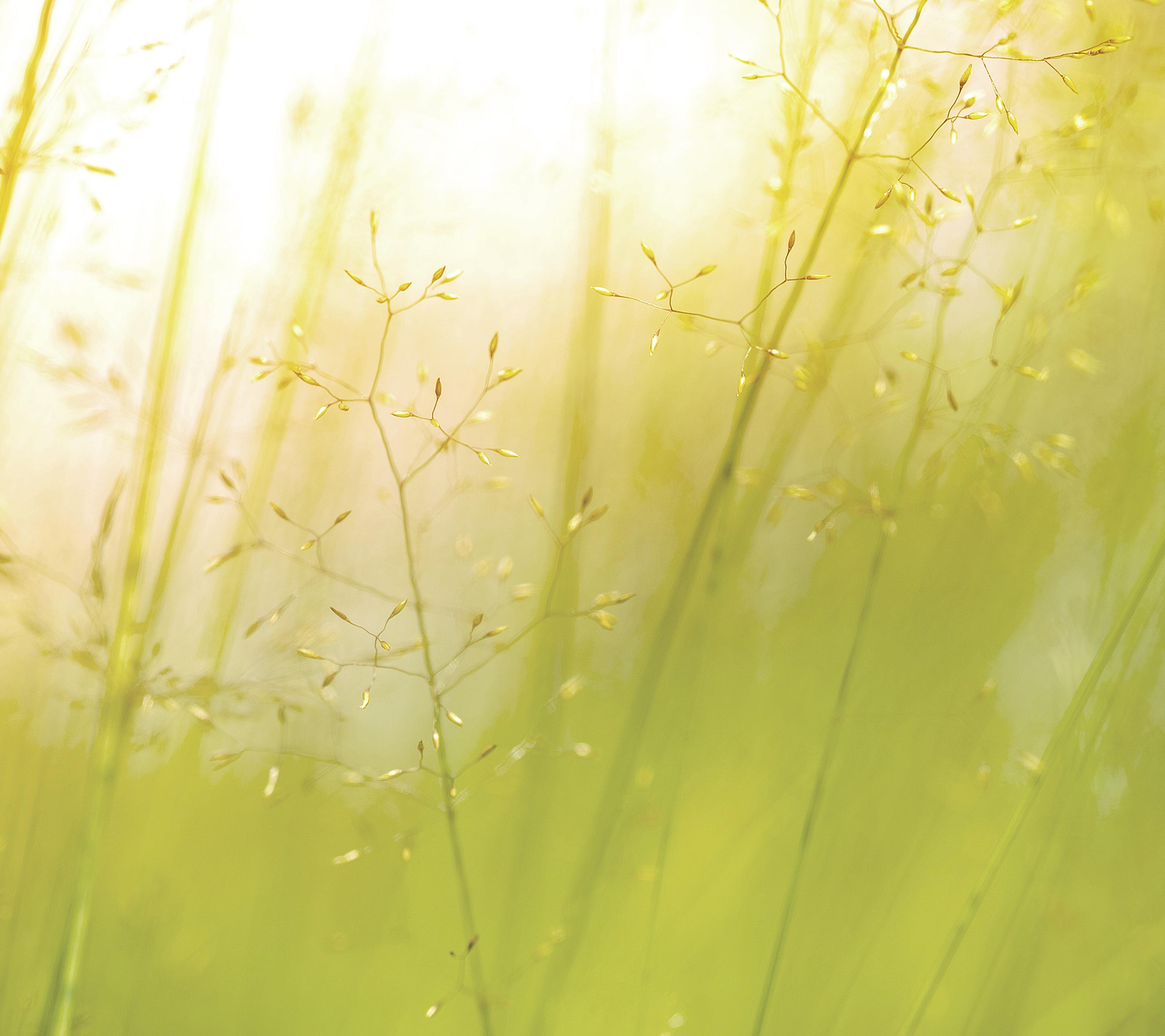 2880x2560 Download LG G3 High Resolution Wallpaper