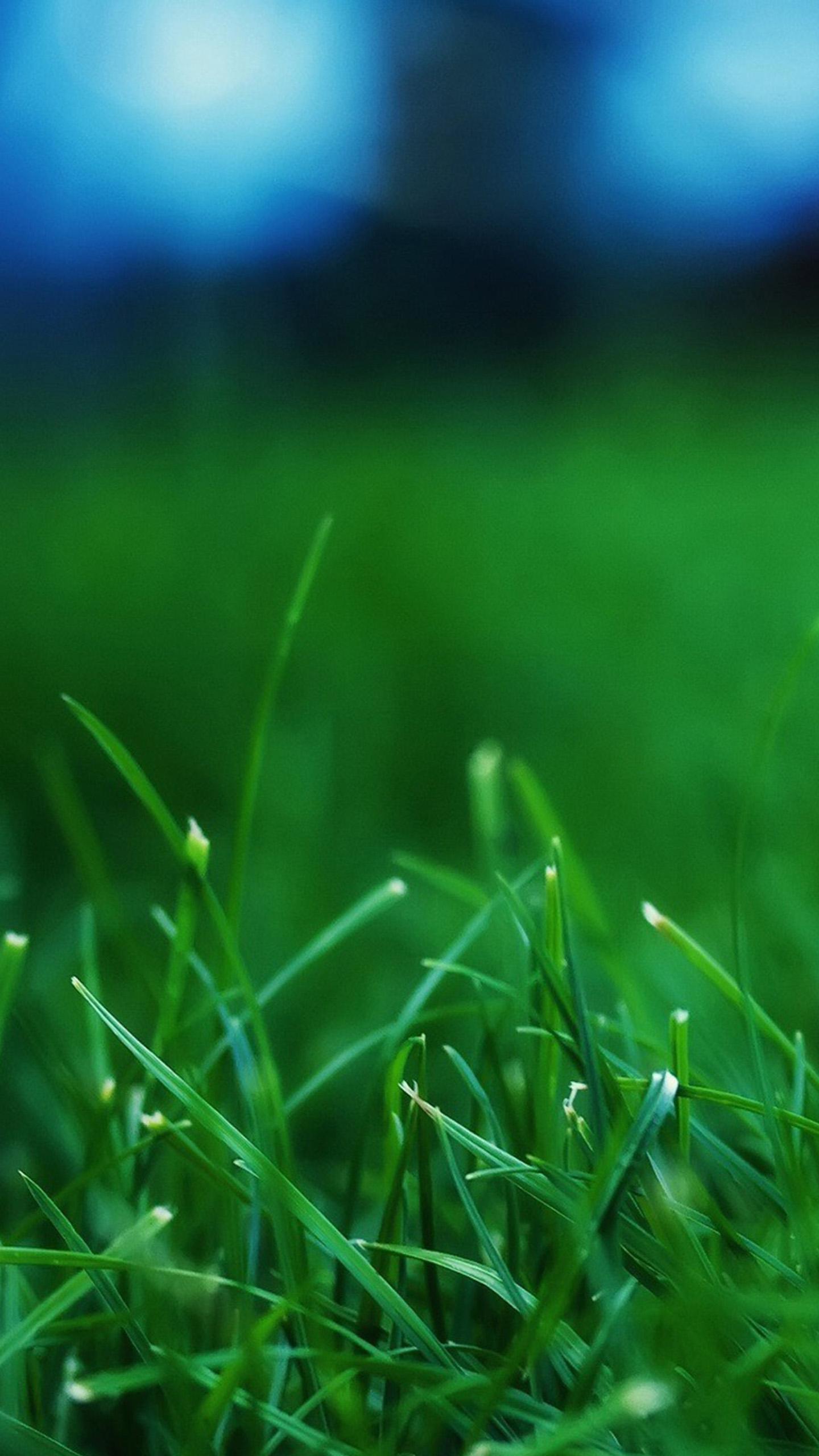 1440x2560 Free download Plant LG G3 Wallpaper 87 lg g3 wallpaper [1440x2560] for your Desktop, Mobile & Tablet. Explore LG Wallpaper. LG Wallpaper TV