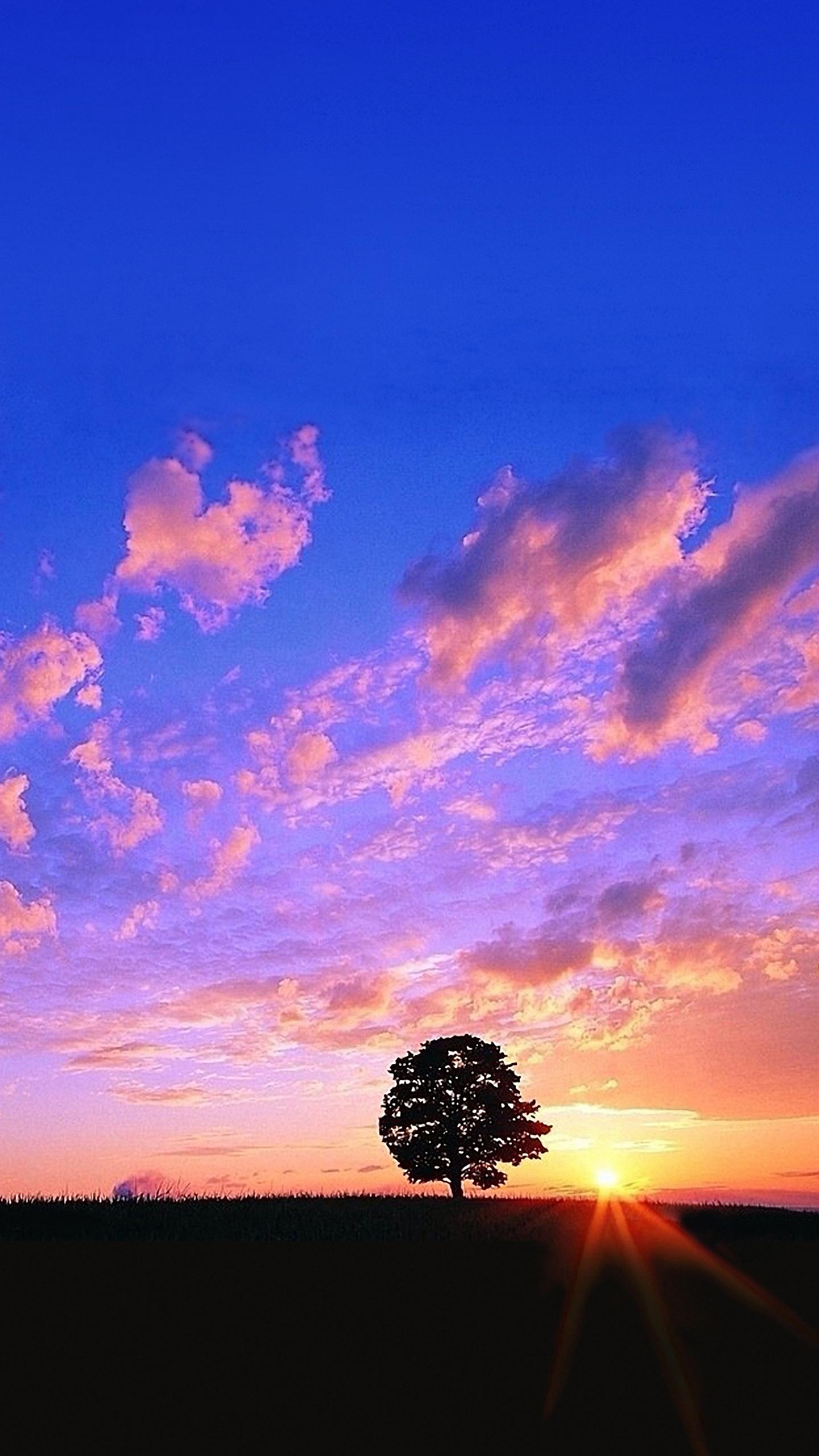 1440x2560 Free download your lg g3 HD 1440x2560 sky tree lg g3 wallpaper [1440x2560] for your Desktop, Mobile & Tablet. Explore LG G3 Wallpaper 1440x2560x2560 Wallpaper Vertical, 1440x2560 HD