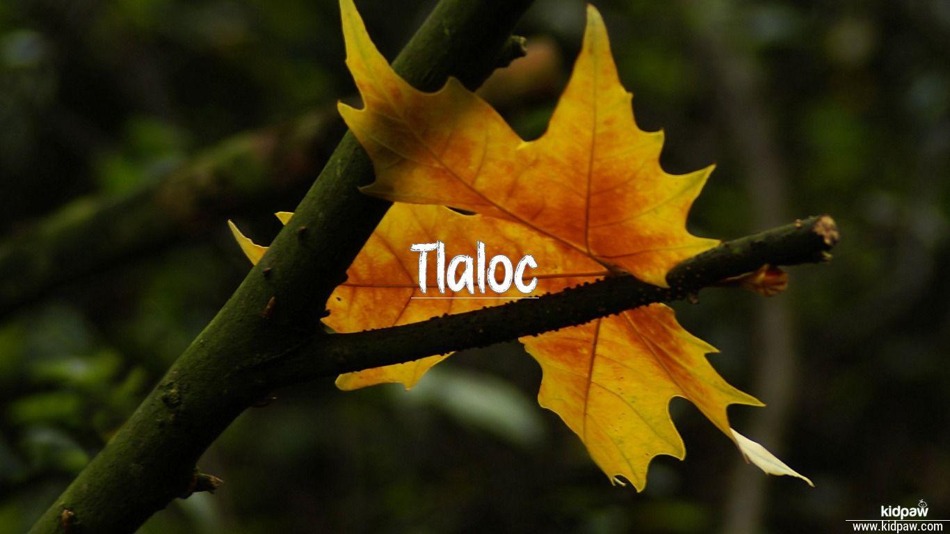 1366x768 Christian Baby Boy Name Tlaloc Meanings, Religion, Origin Details