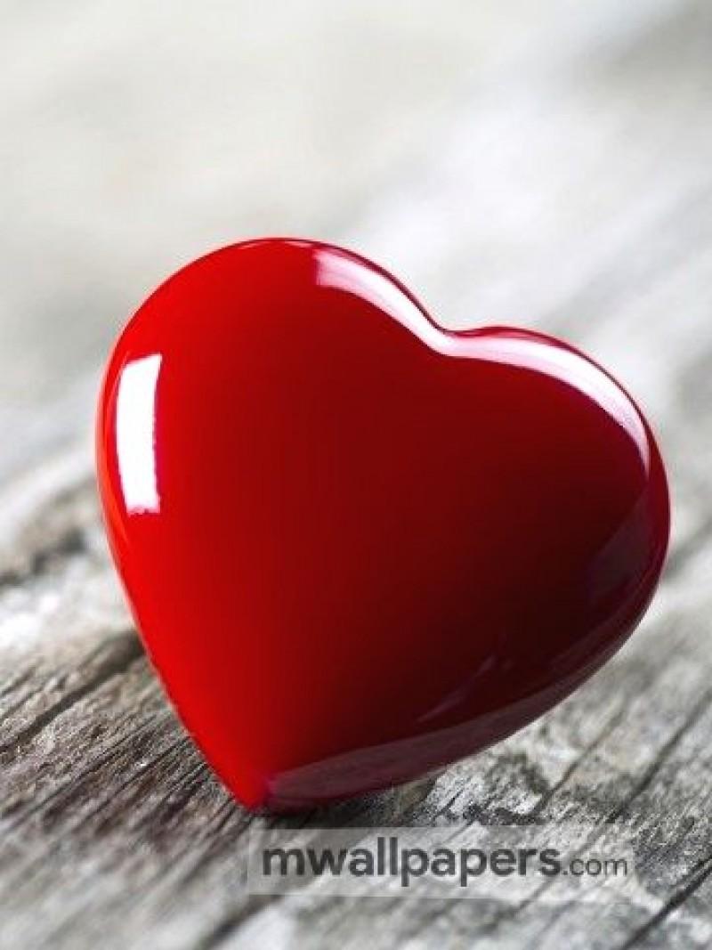 800x1067 love wallpaper for mobile, heart, red, love, organ, heart