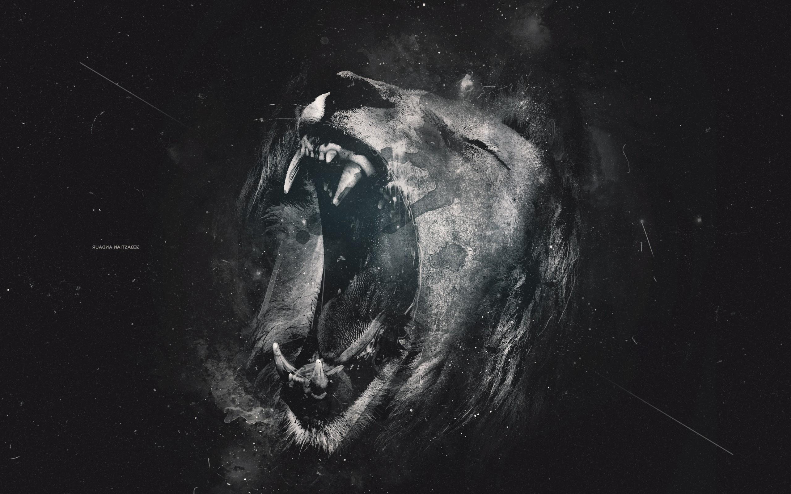 2560x1600 anime, Lion, Monochrome Wallpaper HD / Desktop and Mobile Background