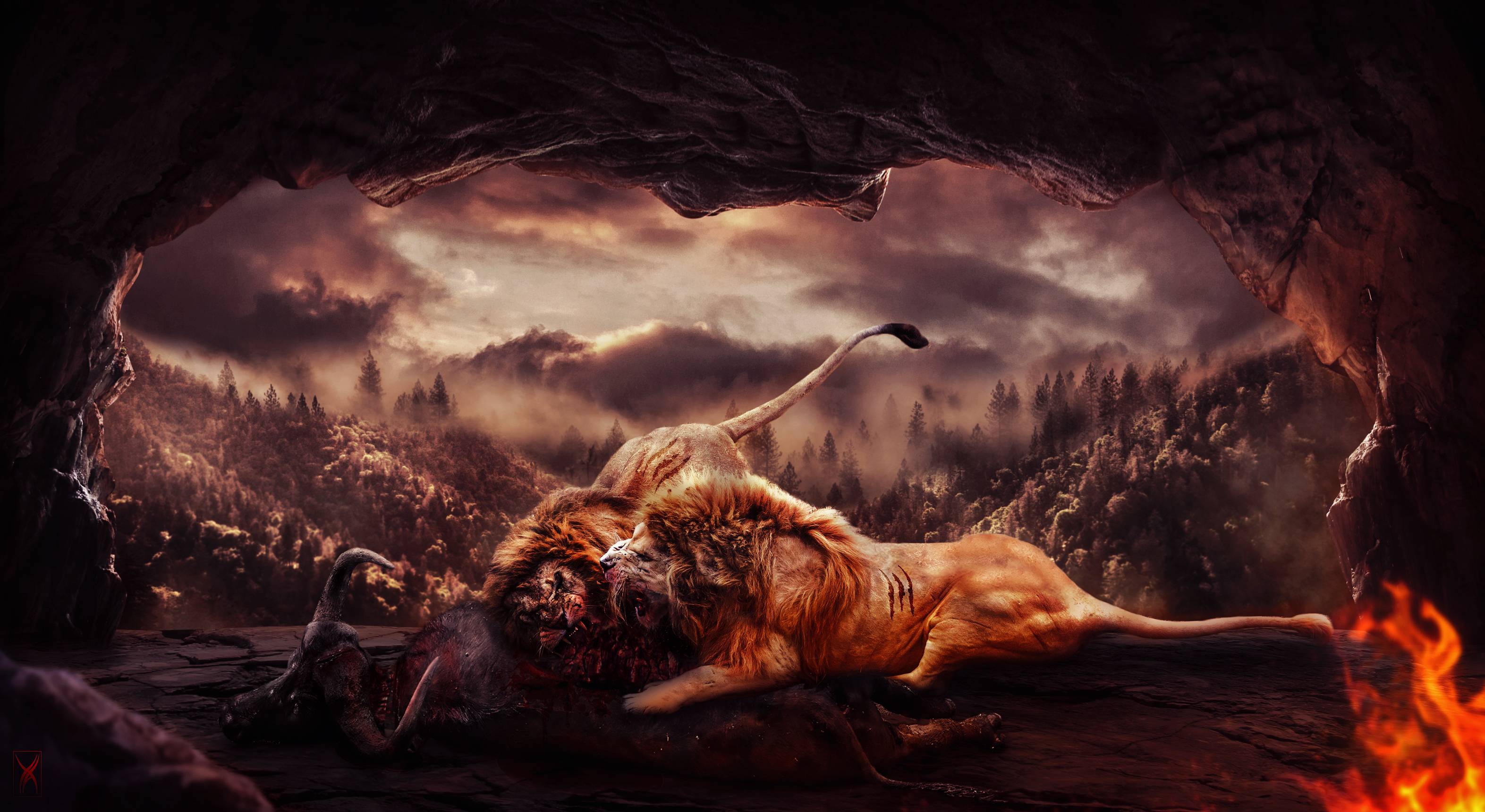 3145x1720 Lions 3145×1720 Cave Hunger Fight 4k