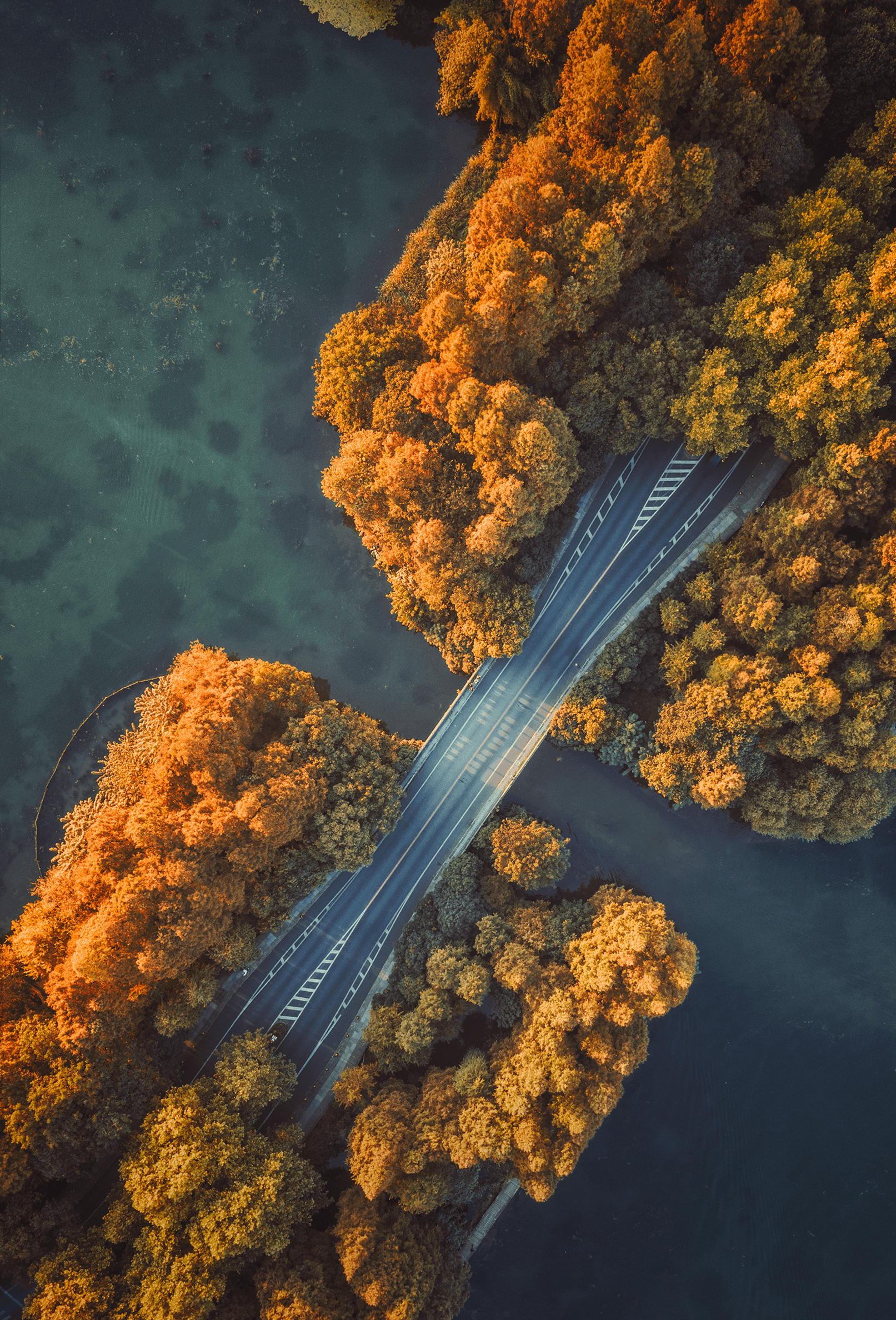 1613x2376 Vivo X50 Pro Wallpaper (YTECHB Exclusive). Phone wallpaper for men, Galaxy wallpaper iphone, Stock wallpaper
