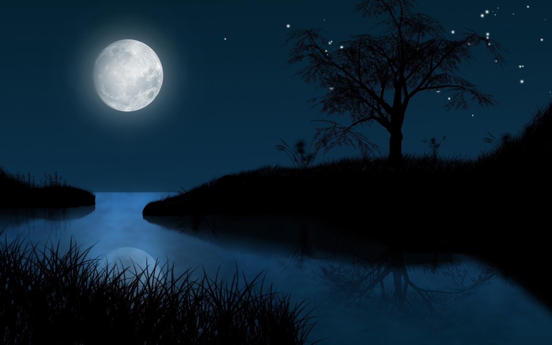 1920x1200 Black Grass Hill Tree Sea Moon wallpaper. Black Grass Hill Tree Sea Moon