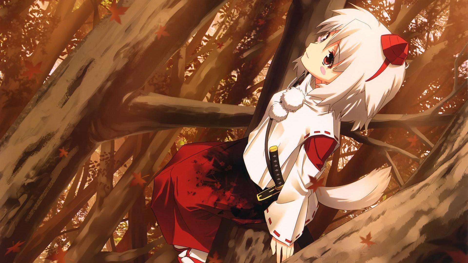 1920x1080 Touhou, Inubashiri Momiji HD Wallpaper / Desktop and Mobile Image & Photo