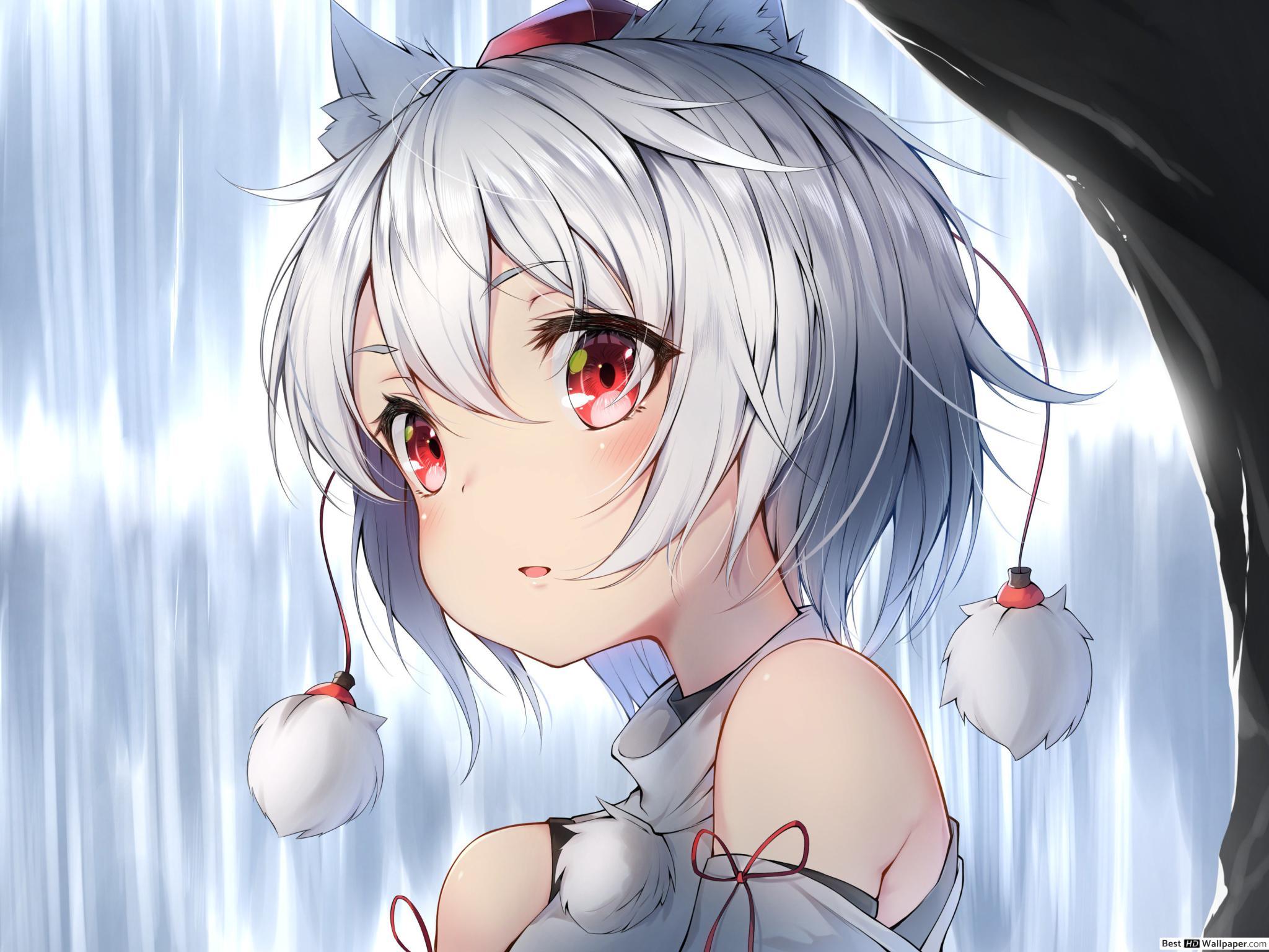 2048x1536 Touhou (Momiji Inubashiri) HD wallpaper download