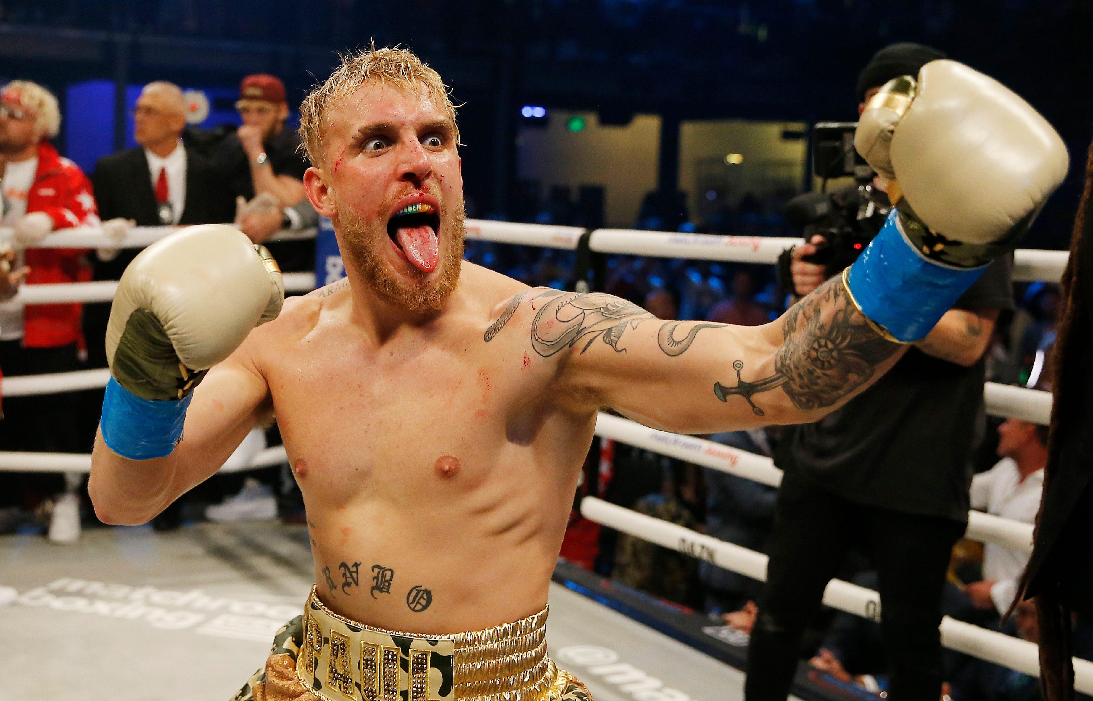Jake Paul Boxing Wallpapers Top Free Jake Paul Boxing Backgrounds