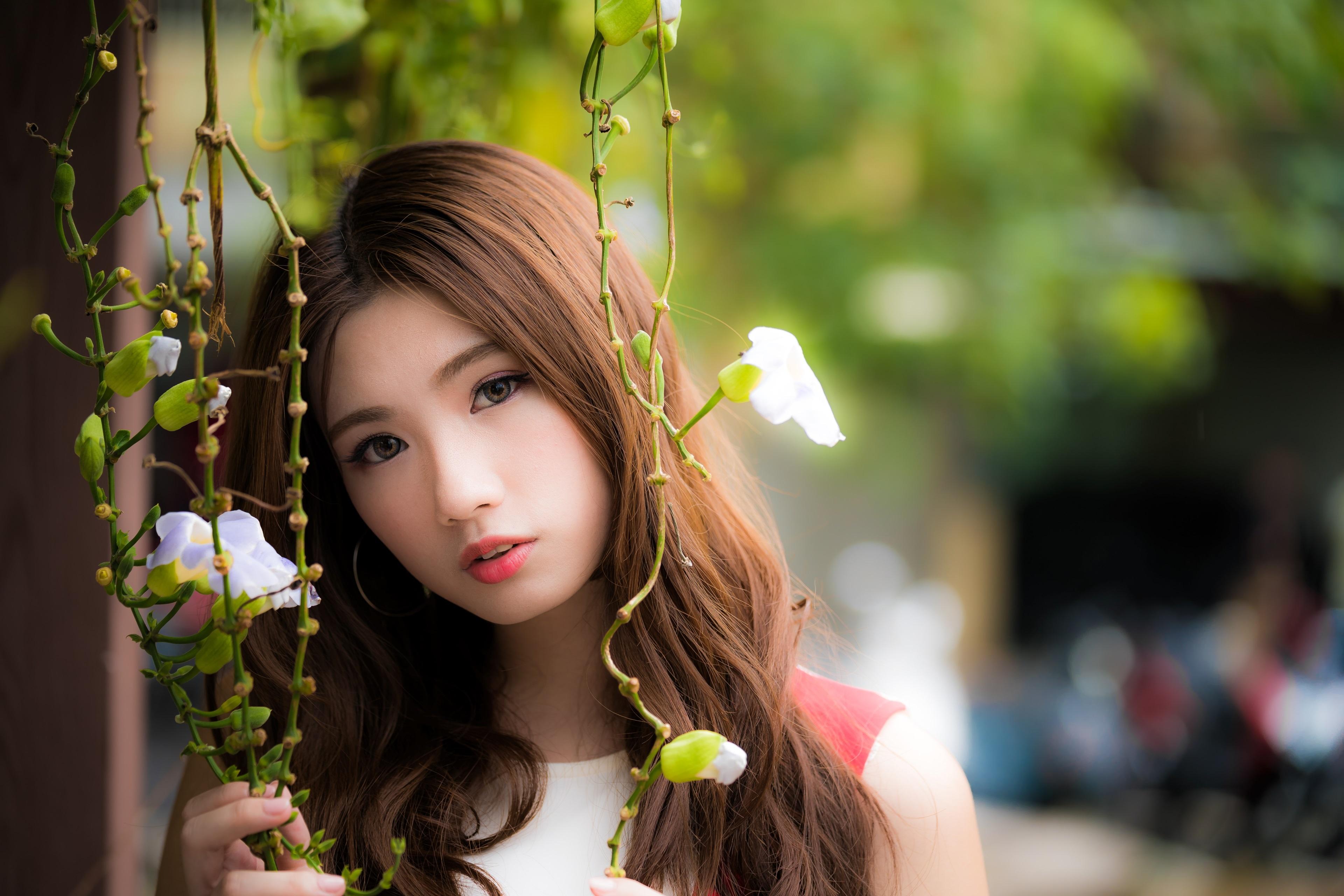 3840x2561 3840x2561 asian 4k download wallpaper for computer