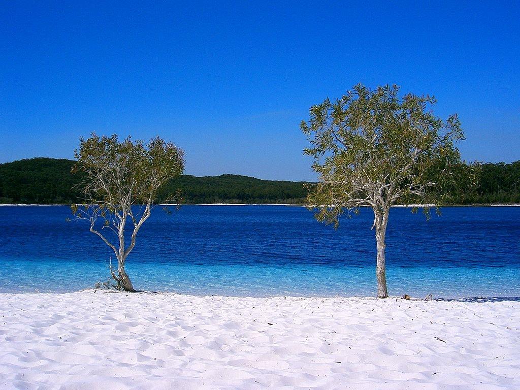 Fraser Island Wallpapers - Top Free Fraser Island Backgrounds ...