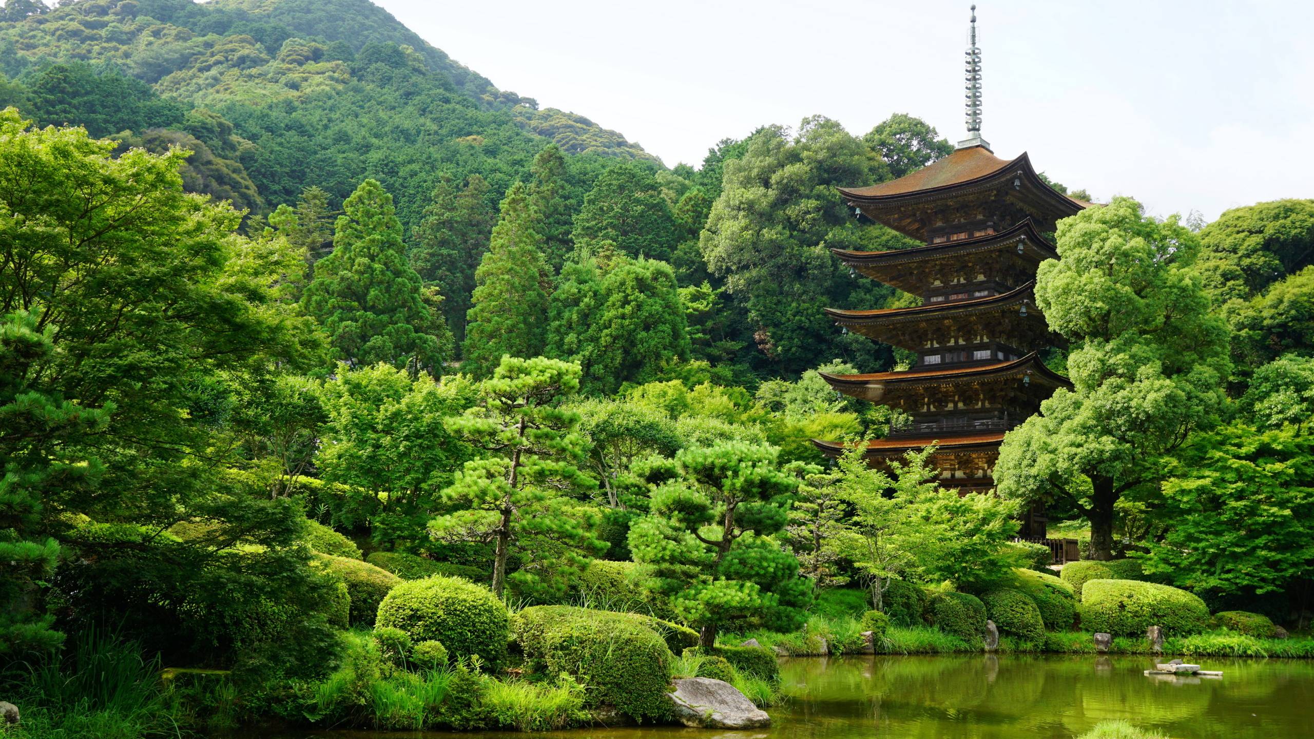 2560x1440 japan, yamaguchi, pond 1440P Resolution Wallpaper, HD Nature 4K Wallpaper, Image, Photo and Background