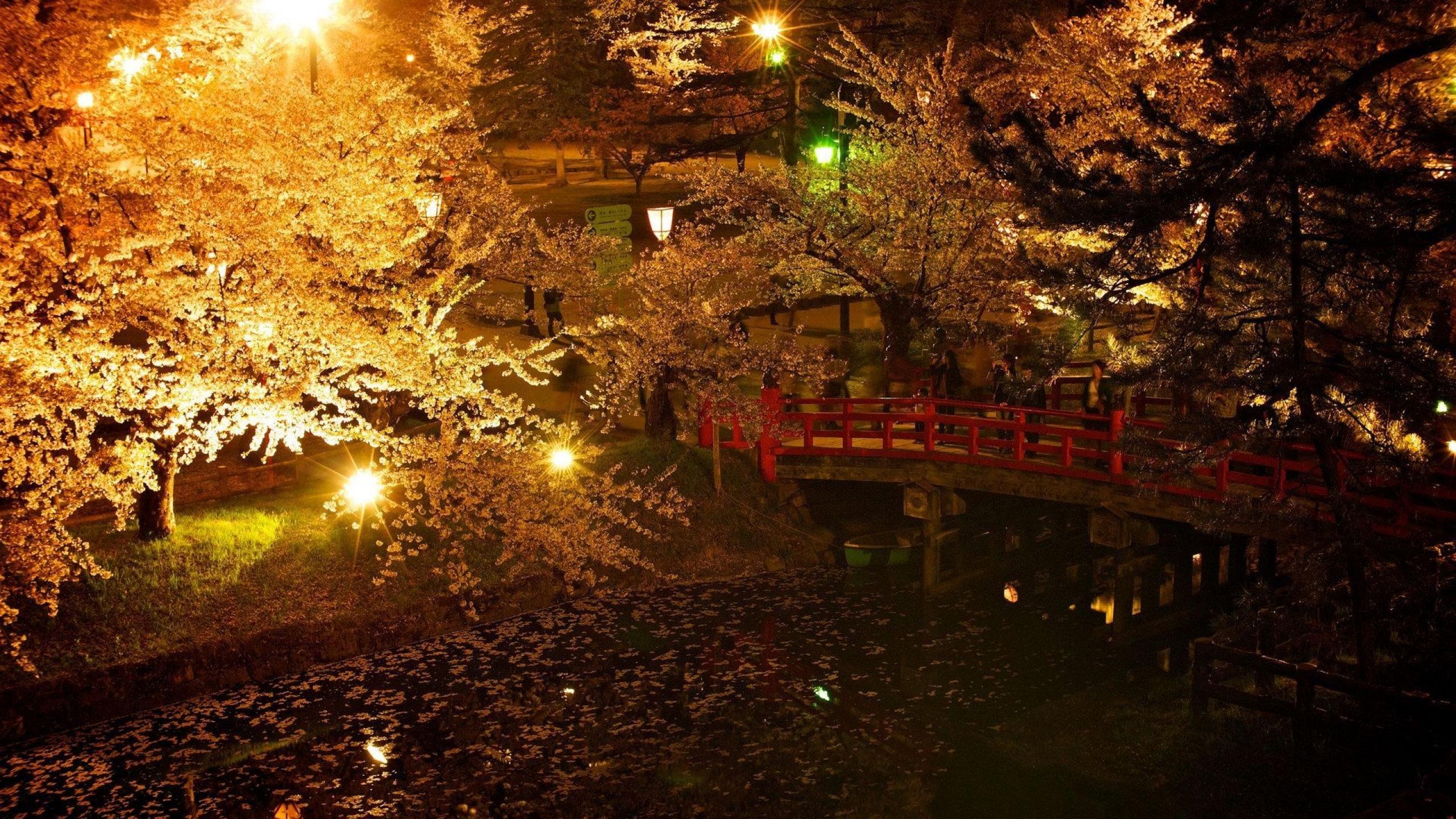 2560x1440 Japan HD Mac