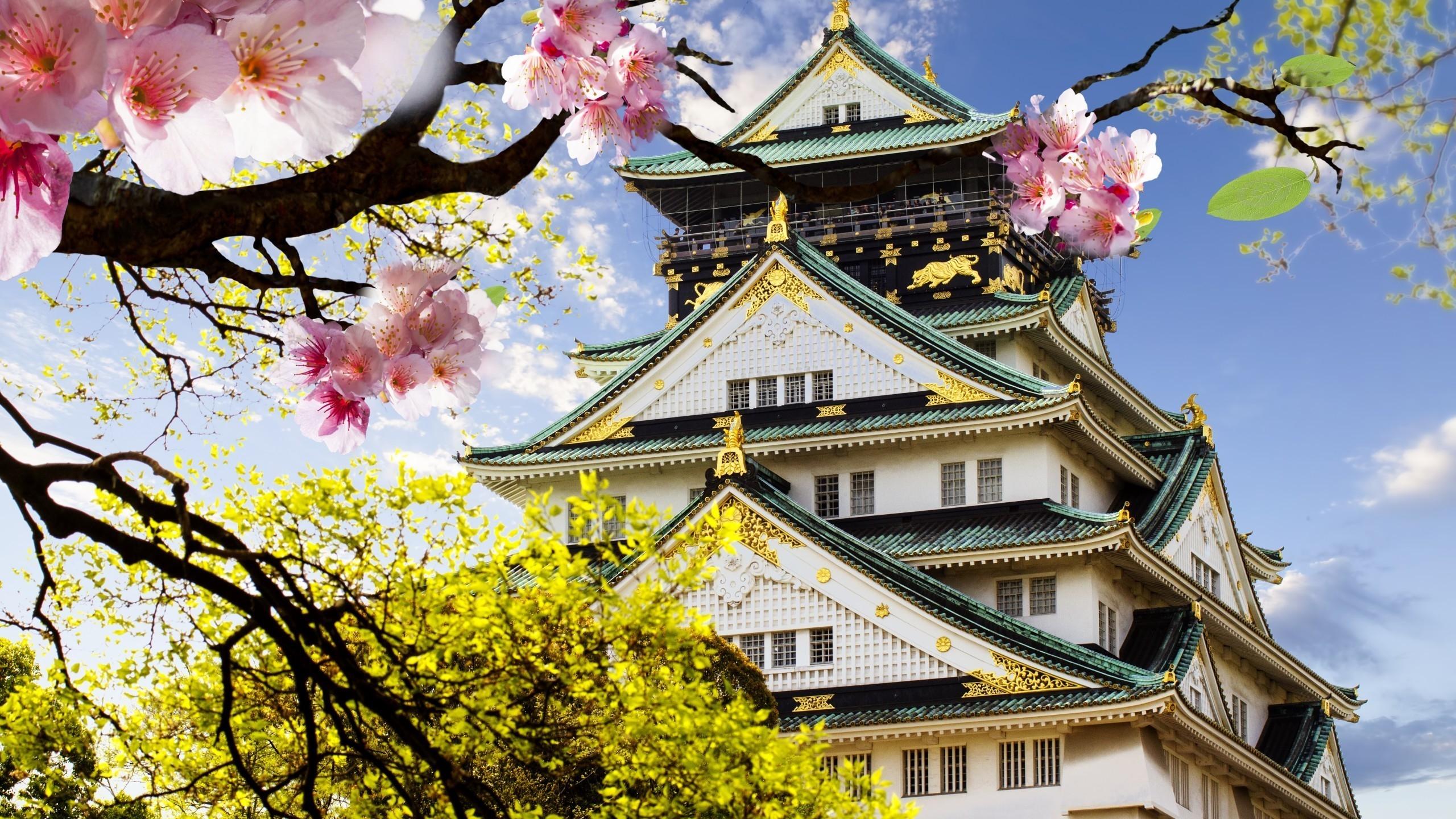 2560x1440 Japanese Castle 2560x1440 HDTV Wallpaper