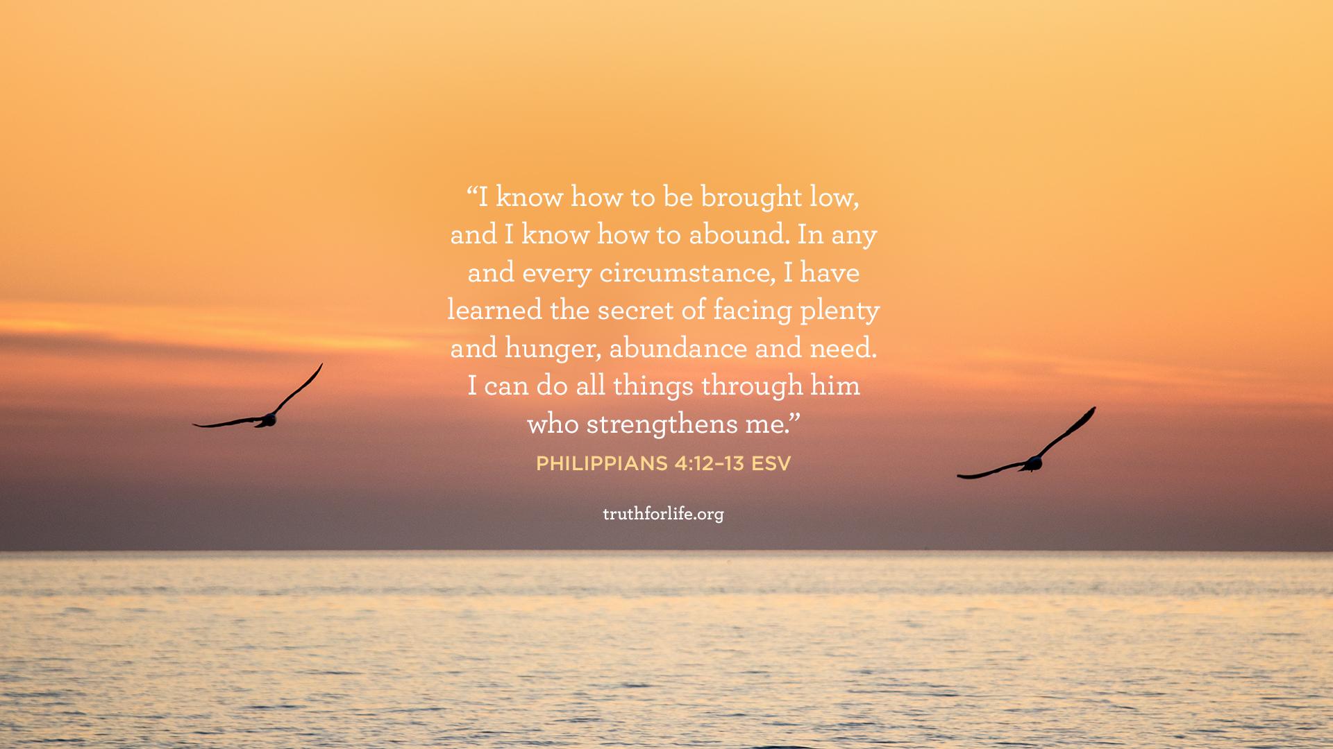 1920x1080 Contentment: Wallpaper