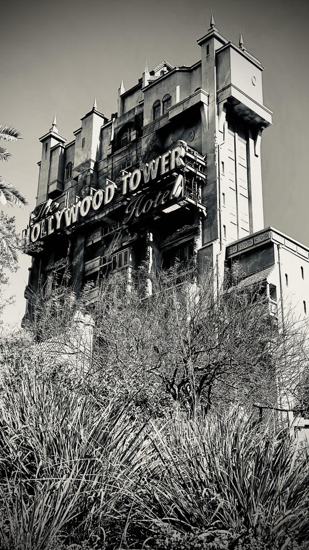1000x1778 gray scale photo of hollywood building photo