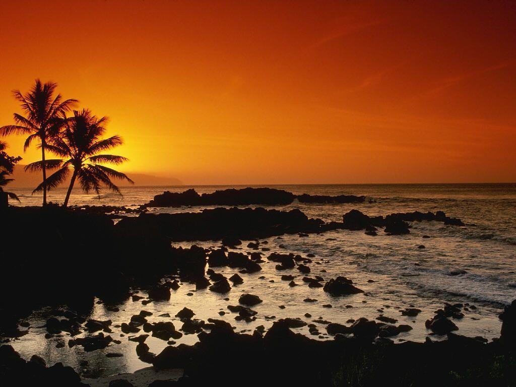 1024x768 Desktop Wallpaper · Gallery · Travels · Shore Oahu Hawaii. Free