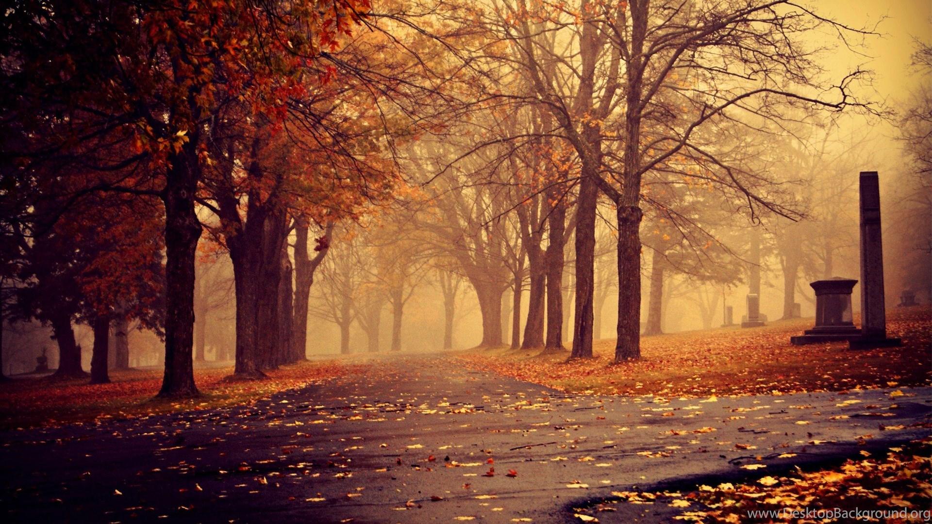 1920x1080 Download The Foggy Autumn Wallpaper, Foggy Autumn iPhone Wallpaper. Desktop Background