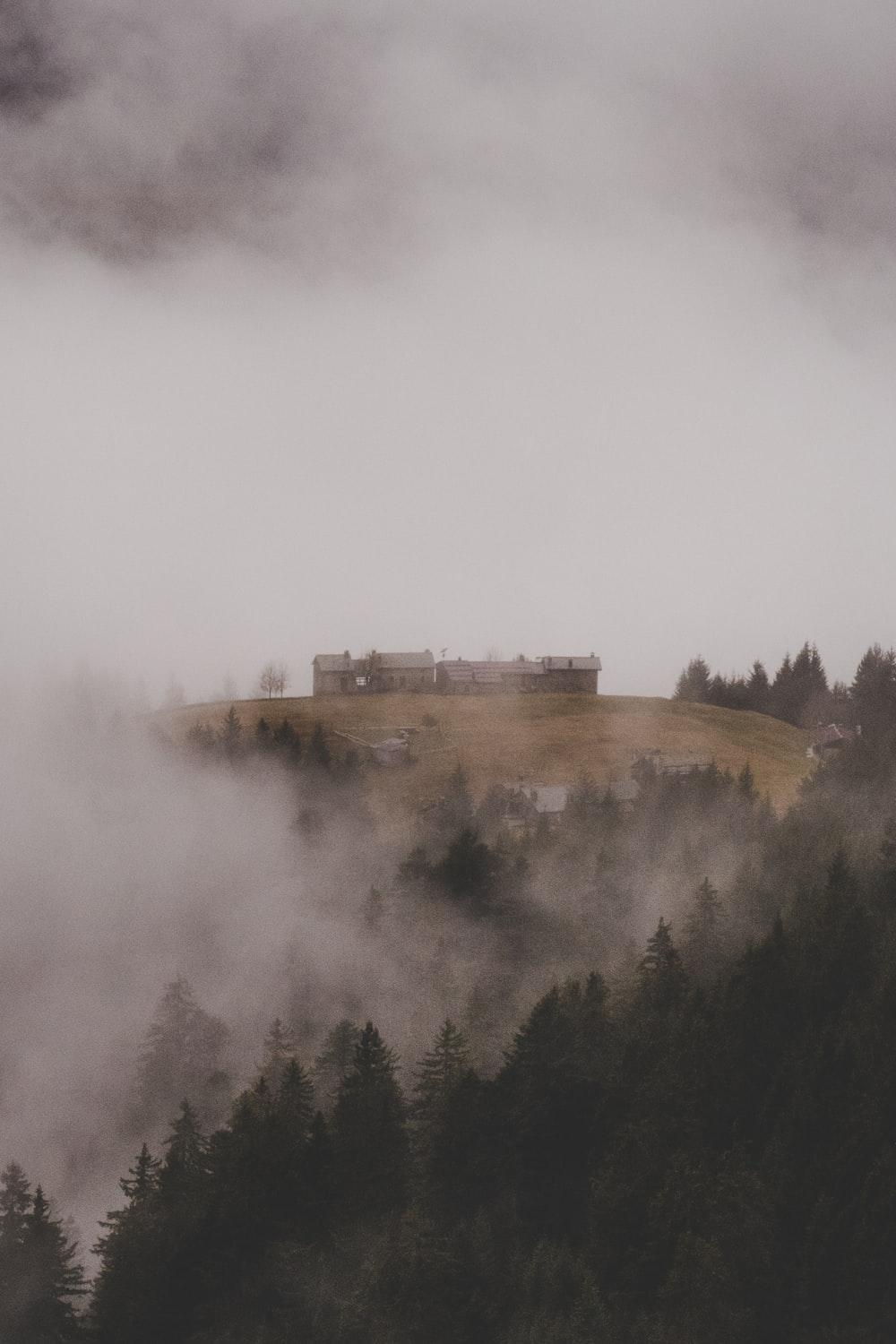 Foggy Morning Wallpapers - Top Free Foggy Morning Backgrounds