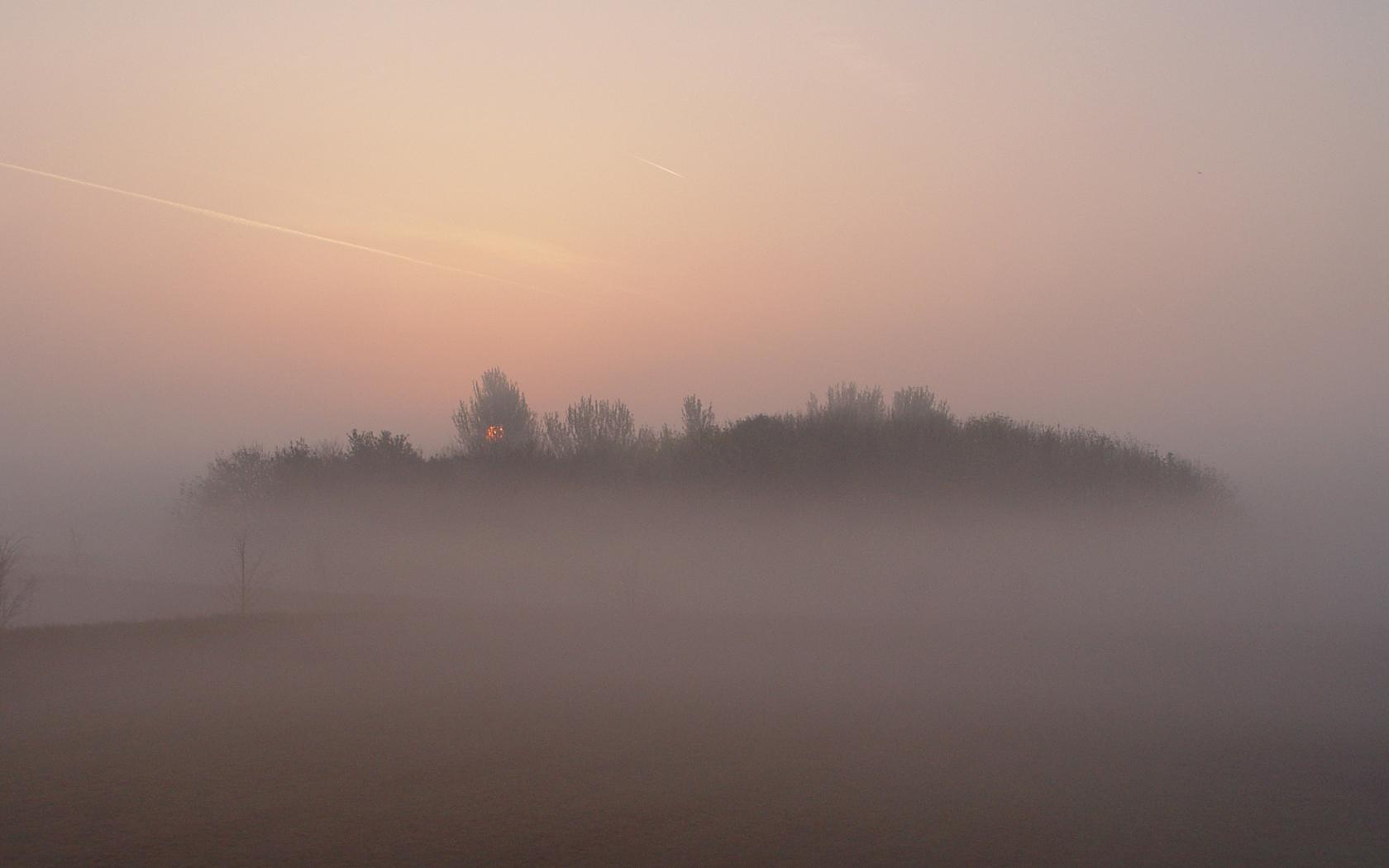 1680x1050 Foggy Morning wallpaper. Foggy Morning