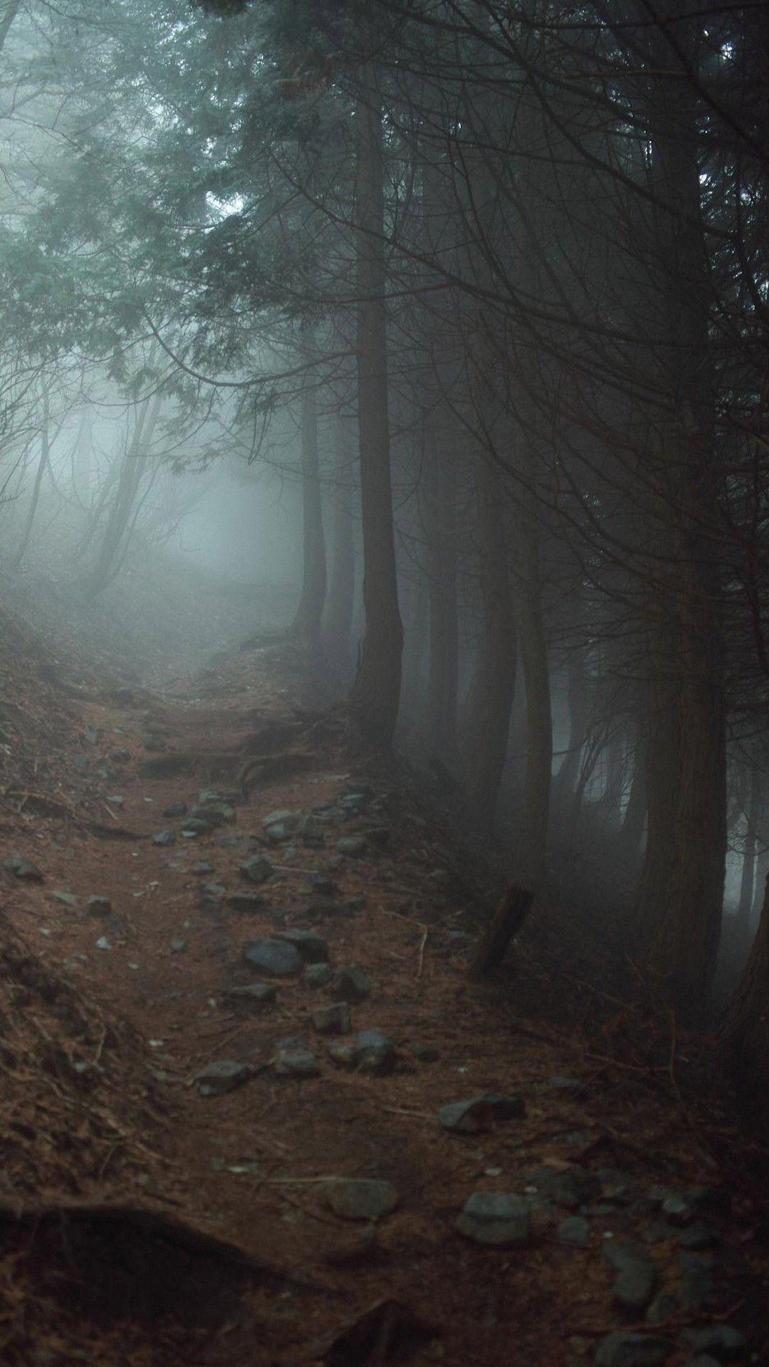 1080x1920 Fog Wallpaper