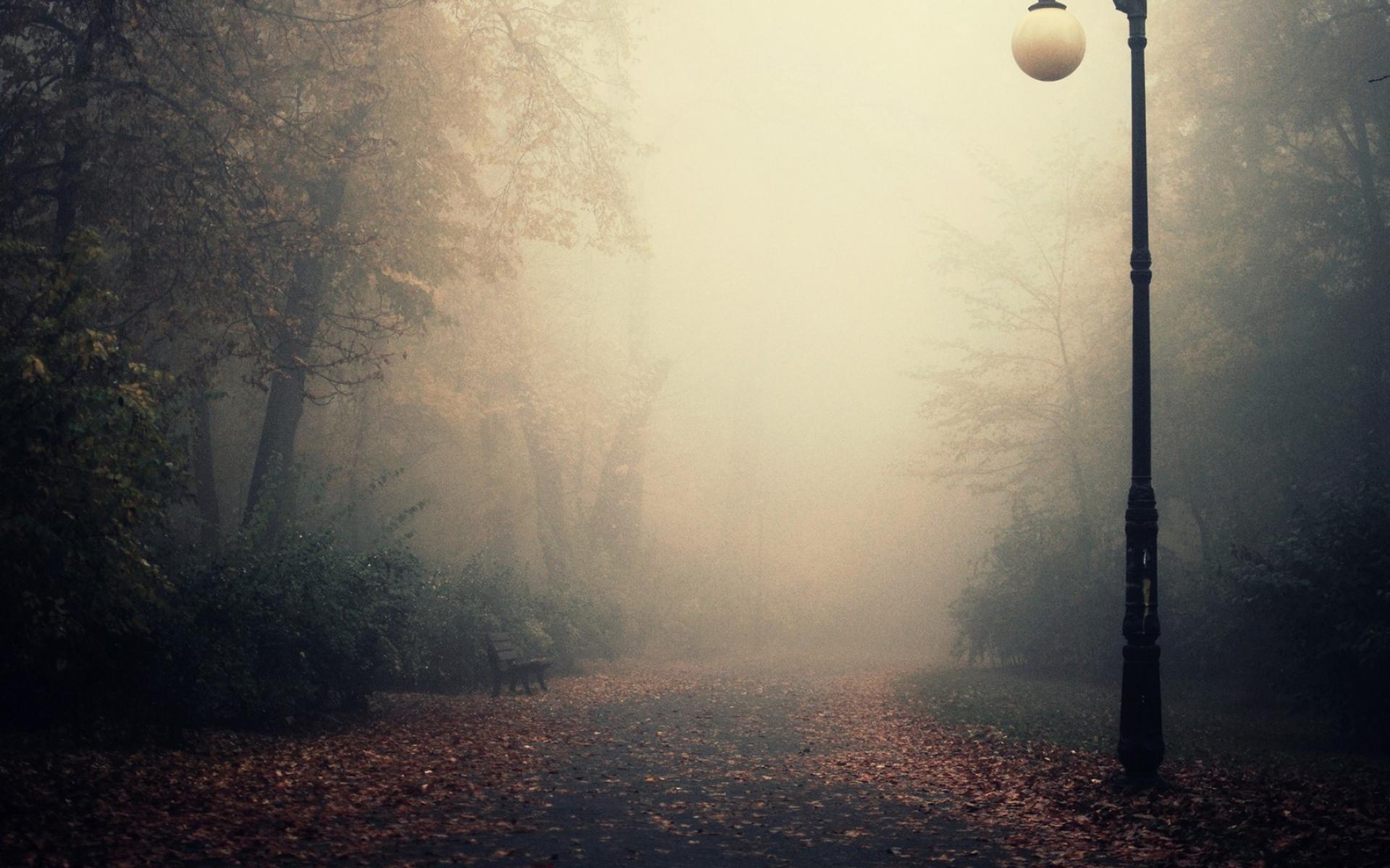 Fog Autumn Wallpapers - Top Free Fog Autumn Backgrounds - WallpaperAccess