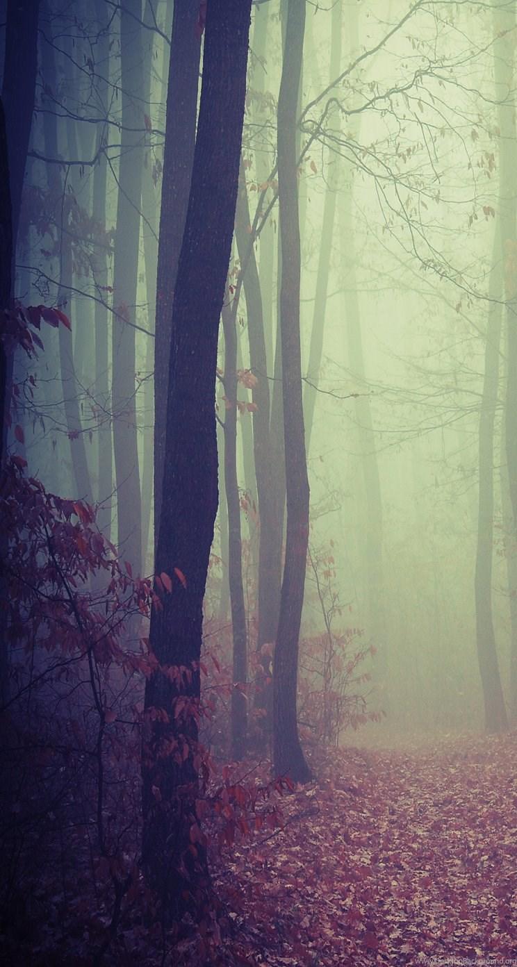 744x1392 Foggy Woods iPhone 5 Parallax Wallpaper (744x1392) Desktop Background