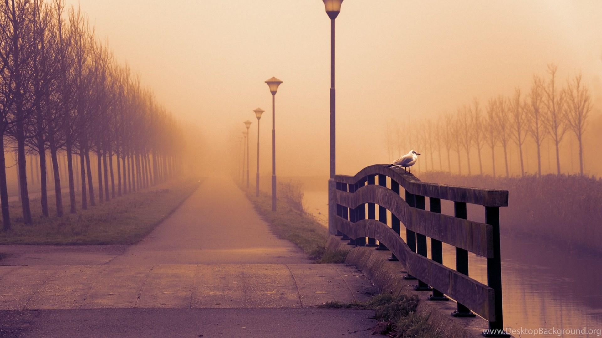 1920x1080 Foggy Fall Day Wallpaper Full HD [2560x1600] Free Wallpaper Full. Desktop Background