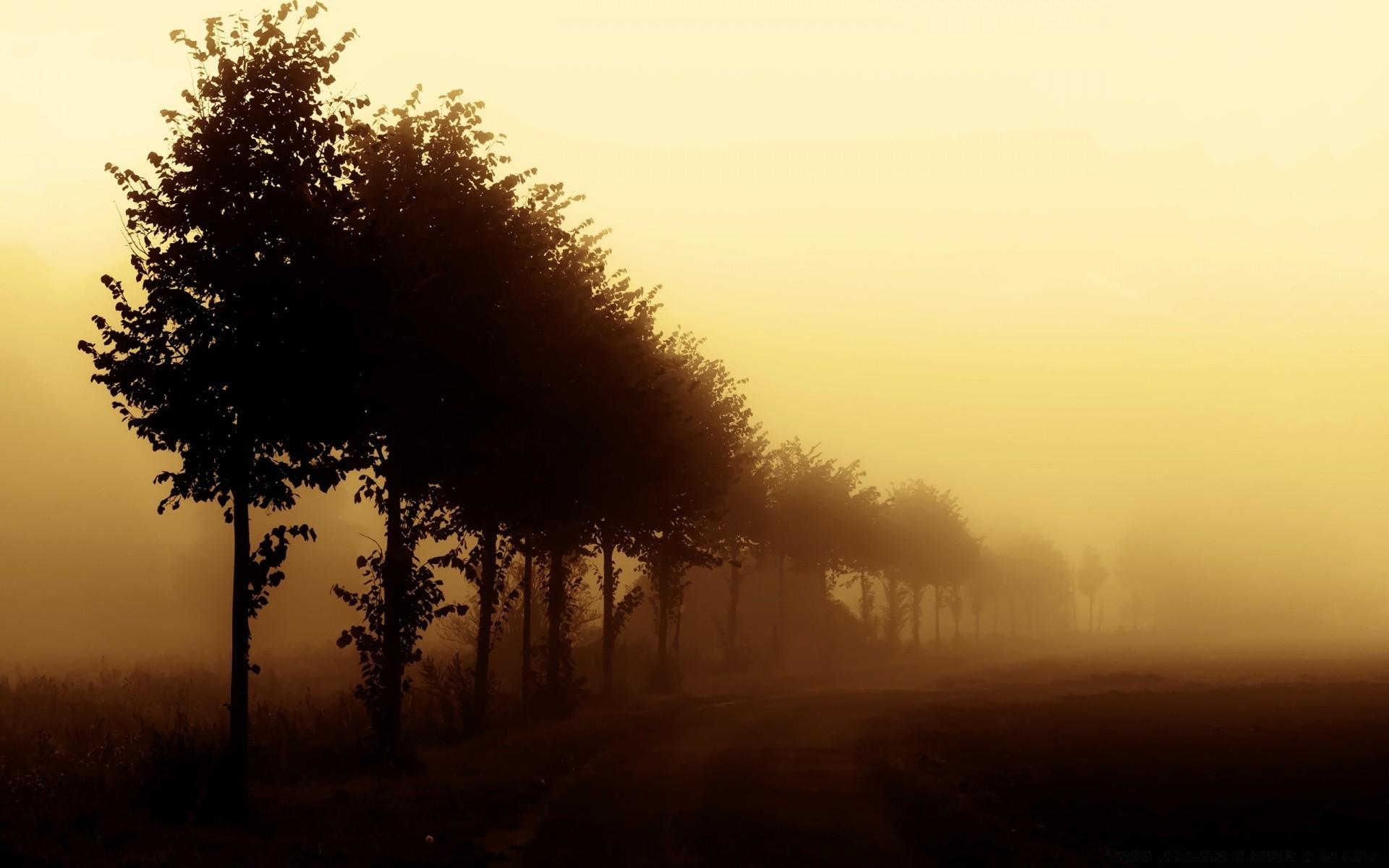 1920x1200 Beautiful Foggy Day