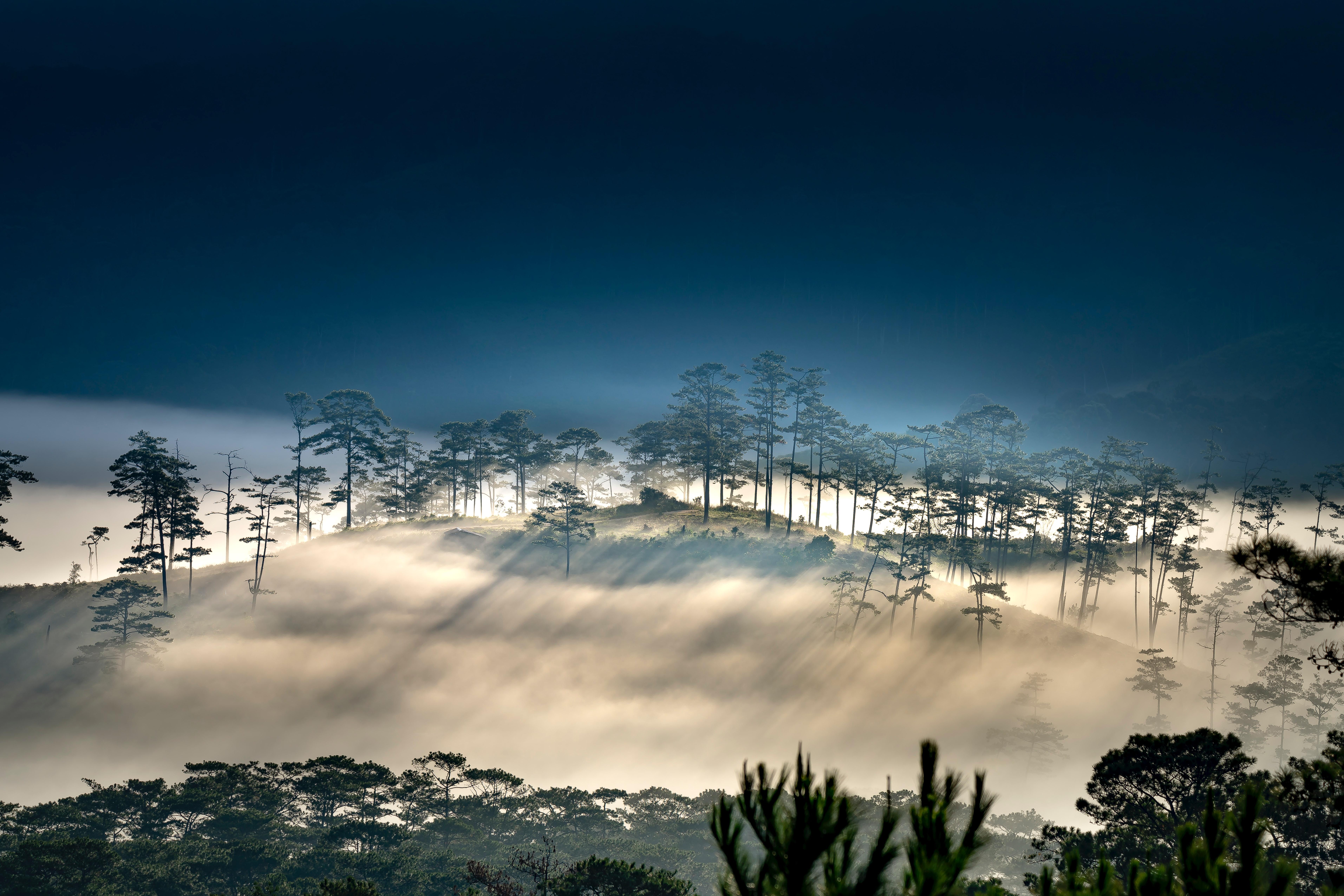 7652x5104 Foggy Morning Hills 8k, HD Nature, 4k Wallpaper, Image, Background, Photo and Picture