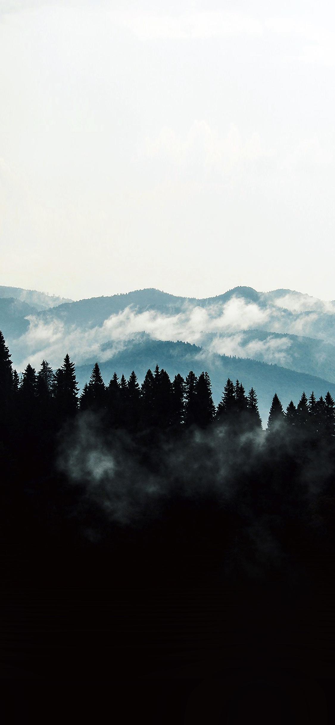 1125x2436 Mountain Fog Nature View Wood Forest Dark Wallpaper
