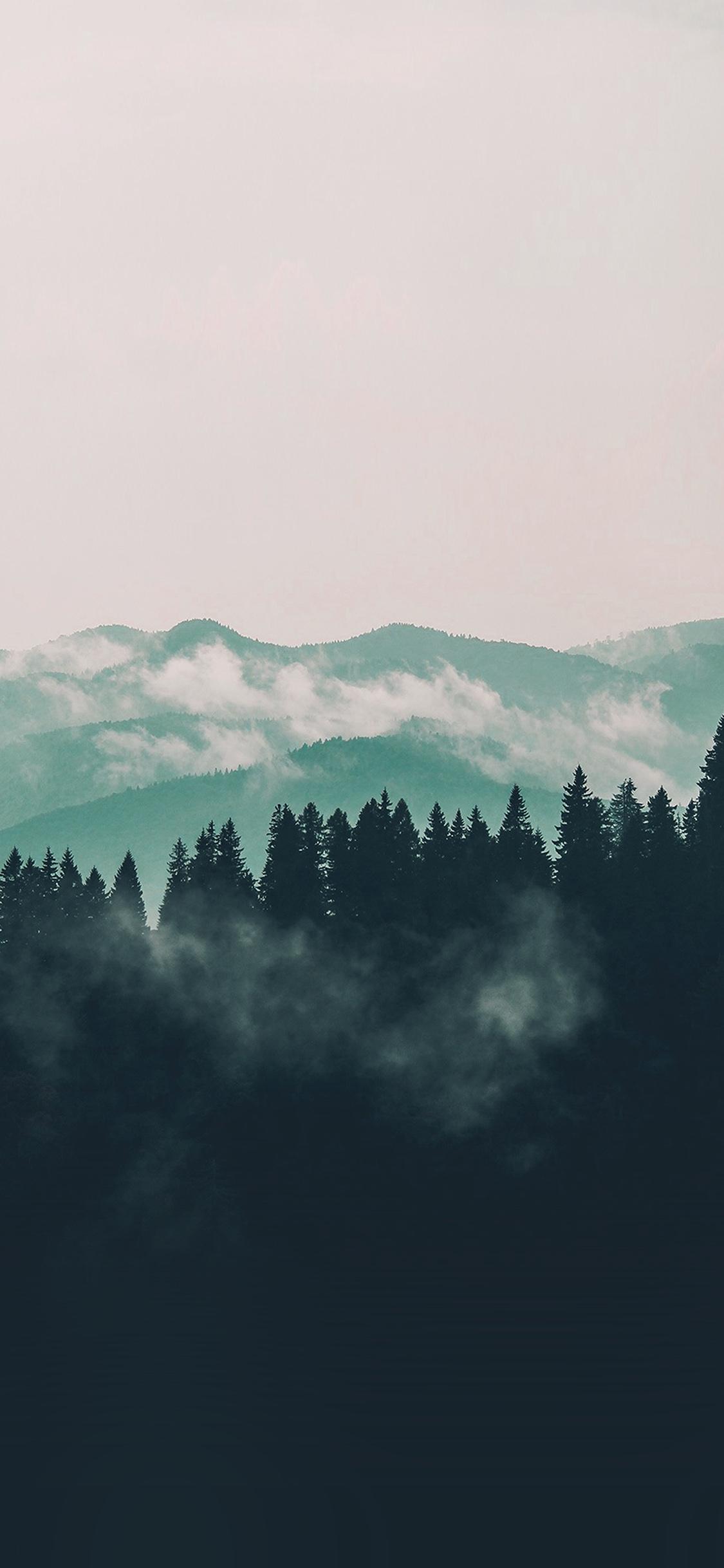 1125x2436 iPhone X wallpaper. mountain fog nature view wood forest blue