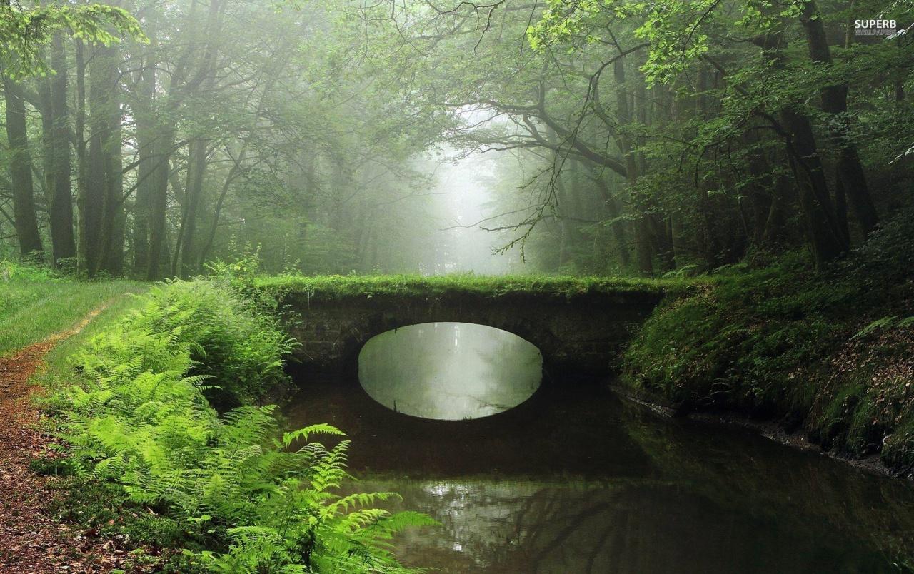 1280x804 Overgrown Bridge Foggy Wood wallpaper. Overgrown Bridge Foggy Wood
