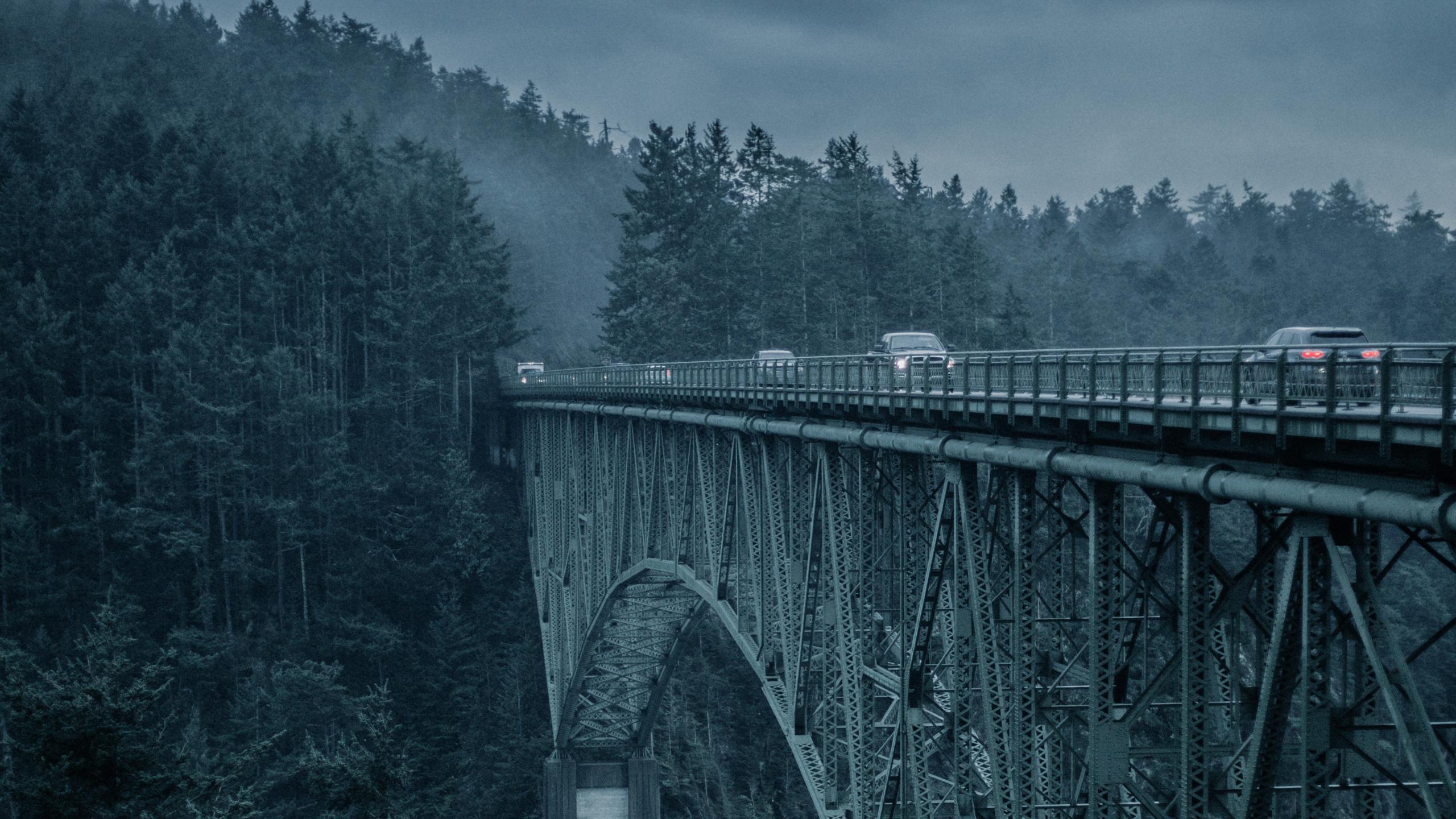 2560x1440 Bridge, The Mountains, Trees, Fog, Wood Wallpaper & Background Image